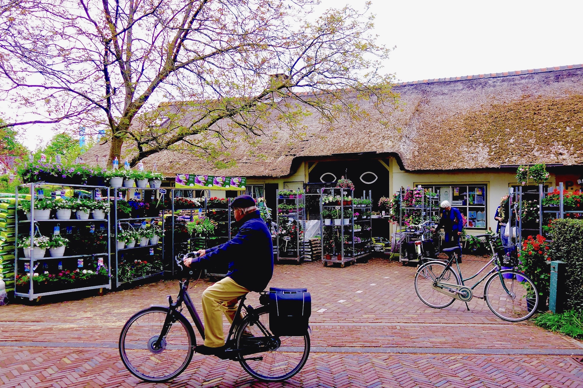 meelmuiskeuzereuze - 1