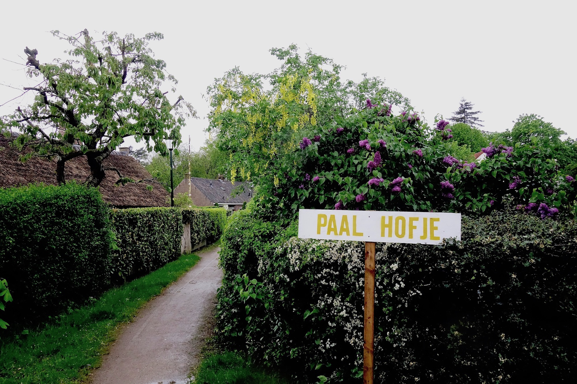 paalhofjebinnendoor - 1