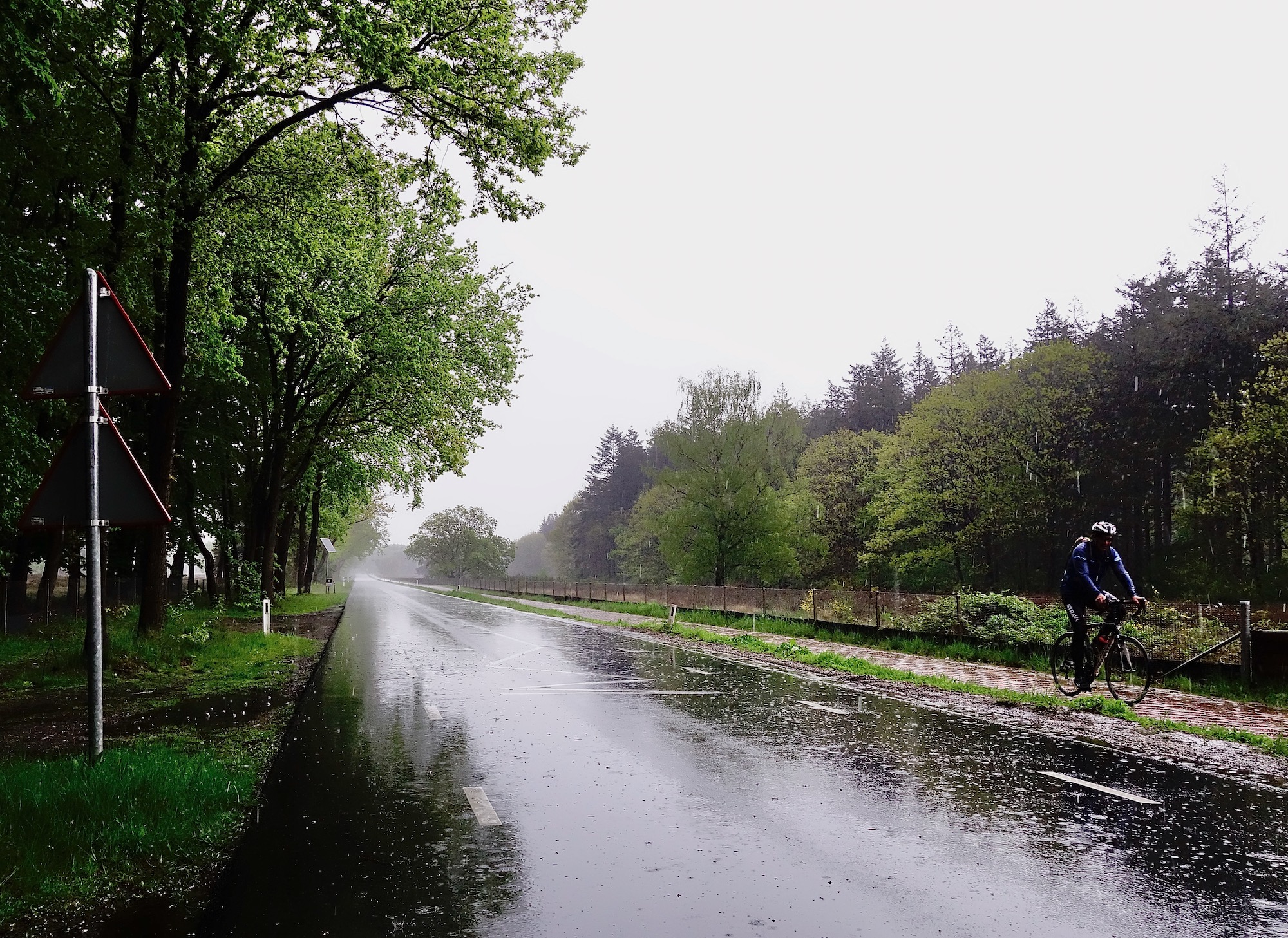 regenboissevainwg - 1