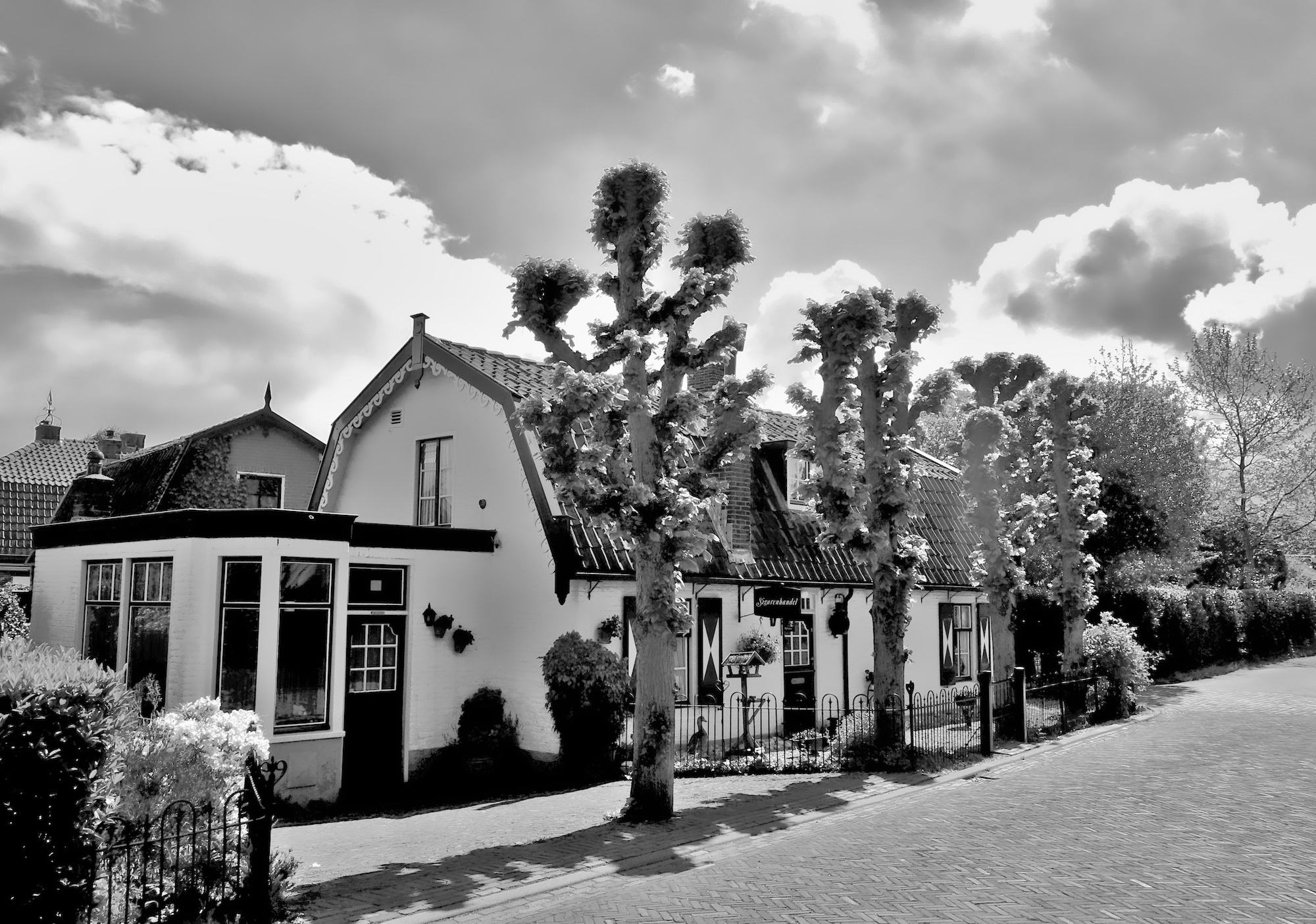 toosfecken-backlite - 1bw1