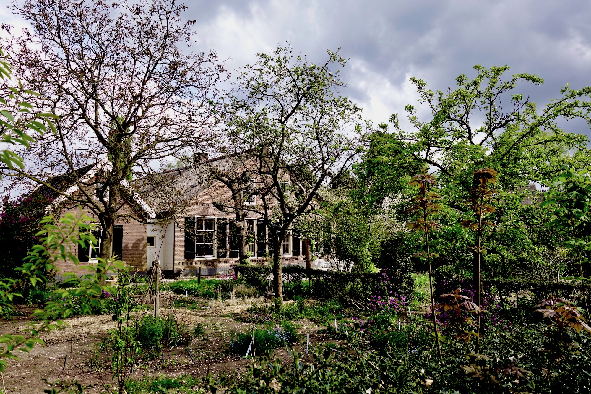 voortuinwillemoerboer - 1