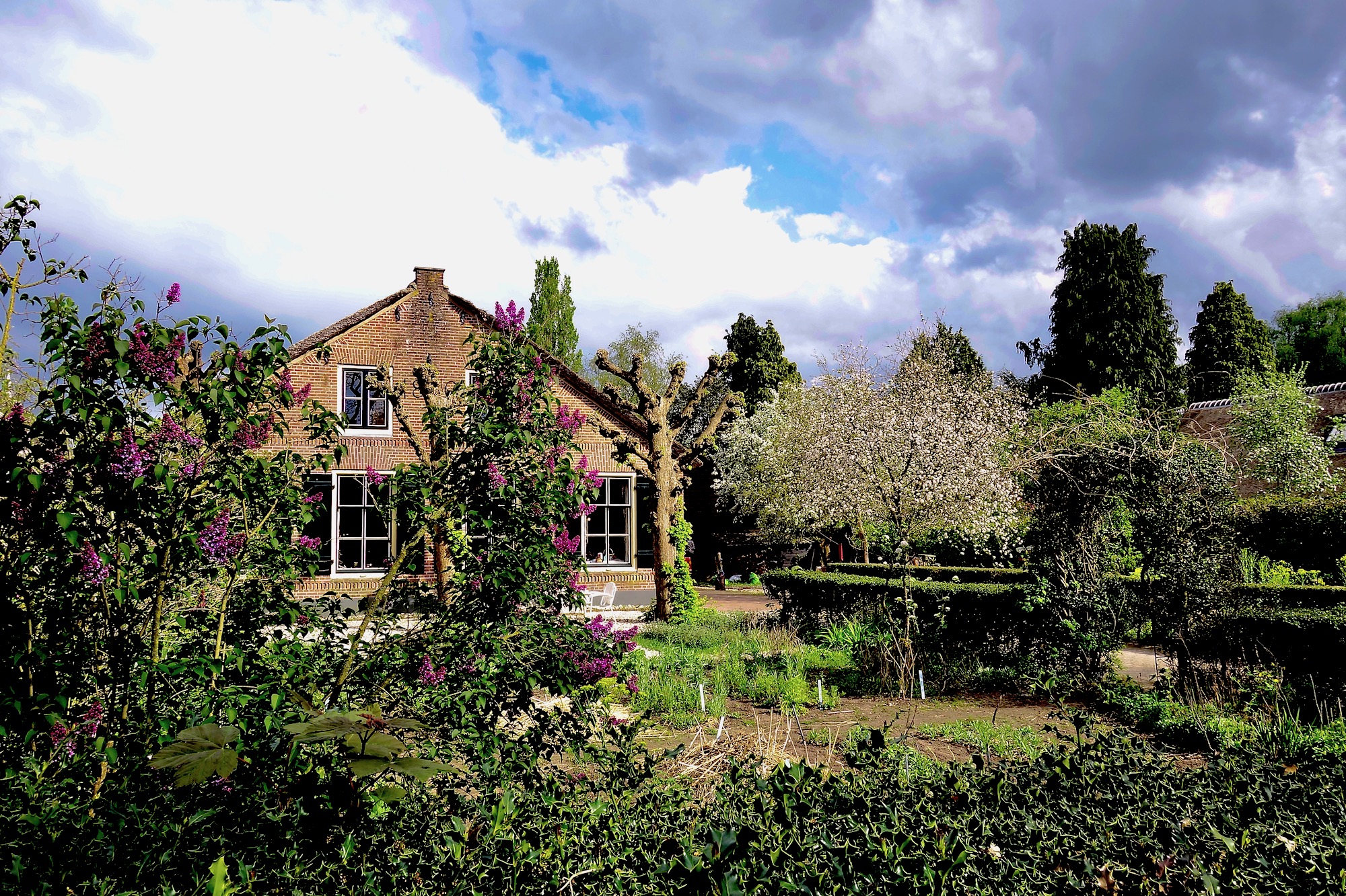 voortuinwillemoerboer2 - 1