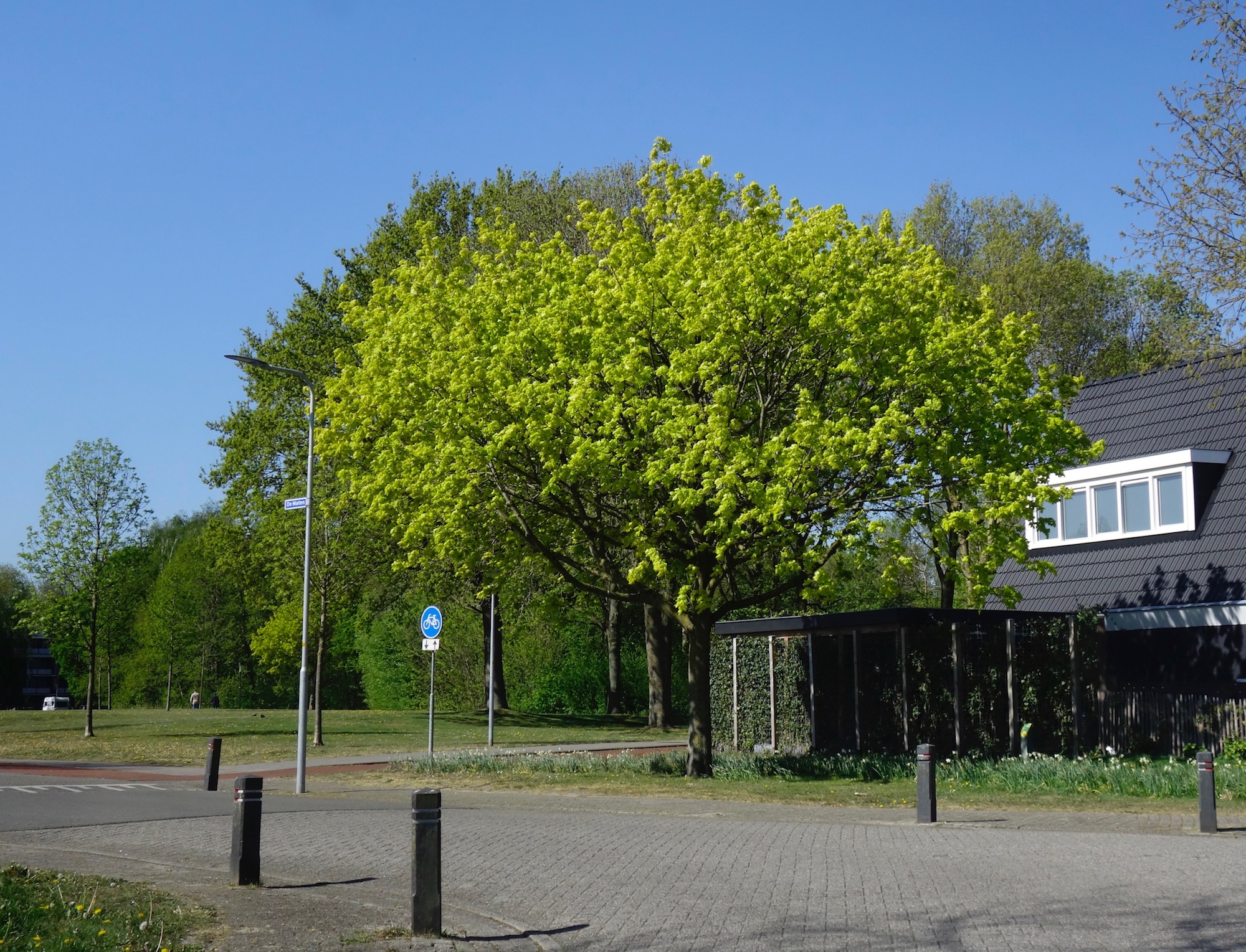 4f33c-boombijvanck-1