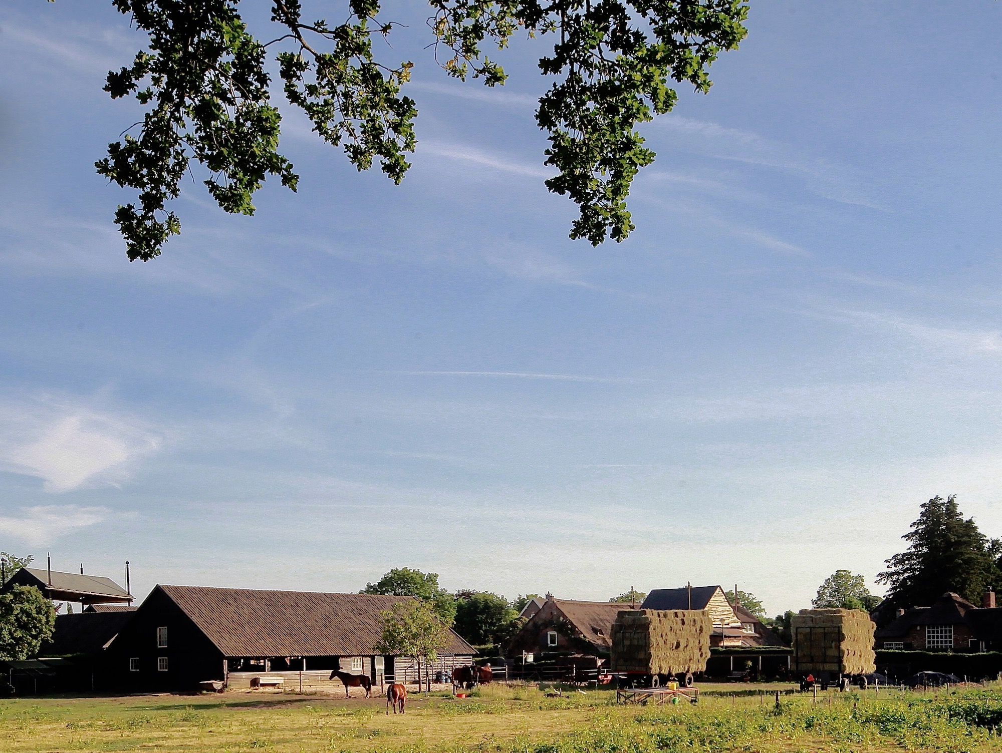 dejong-hooiwagens - 1