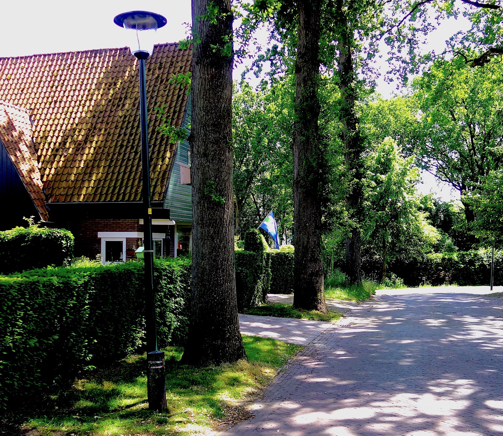 driftlaan - 1