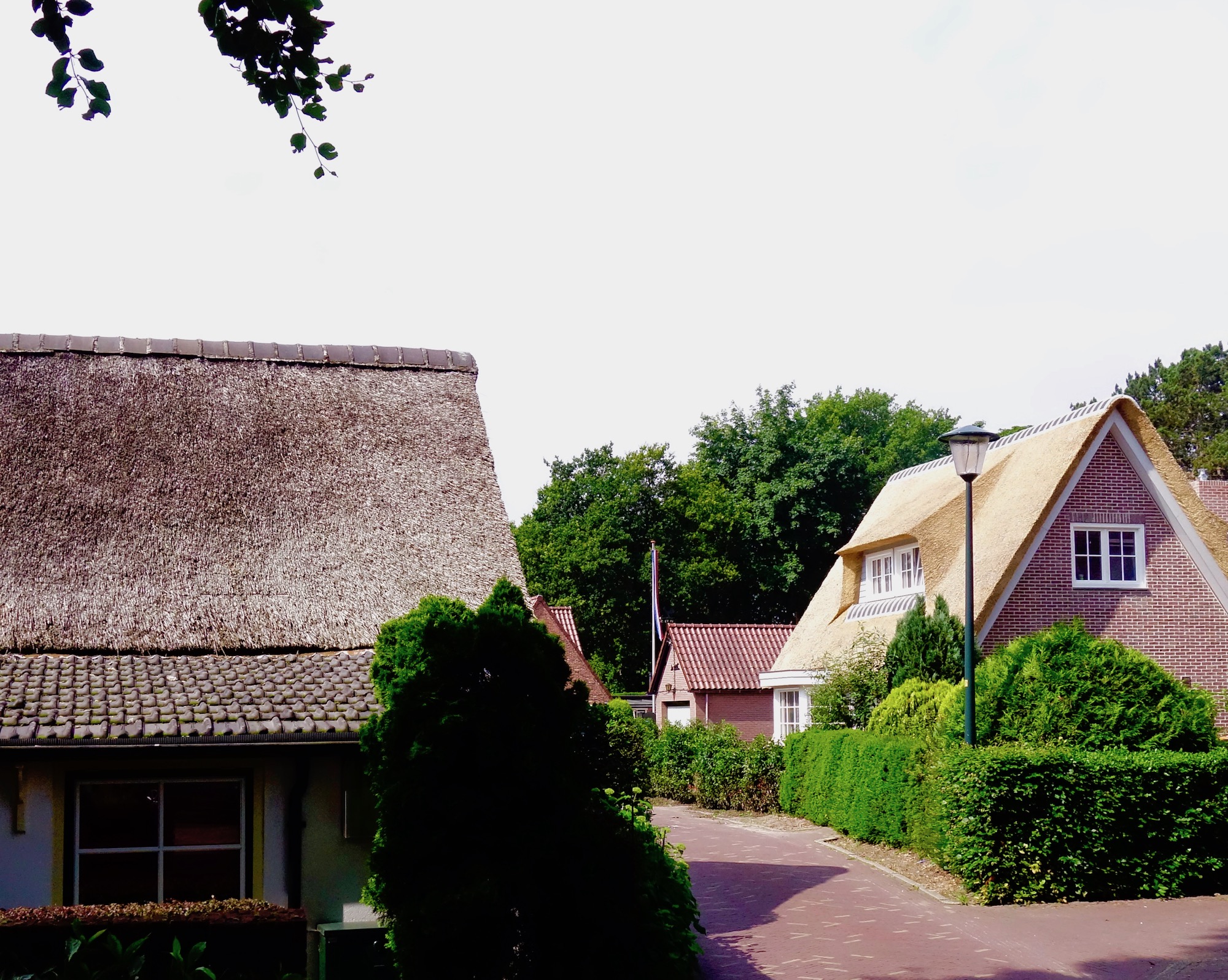 singel-rietendaken - 1