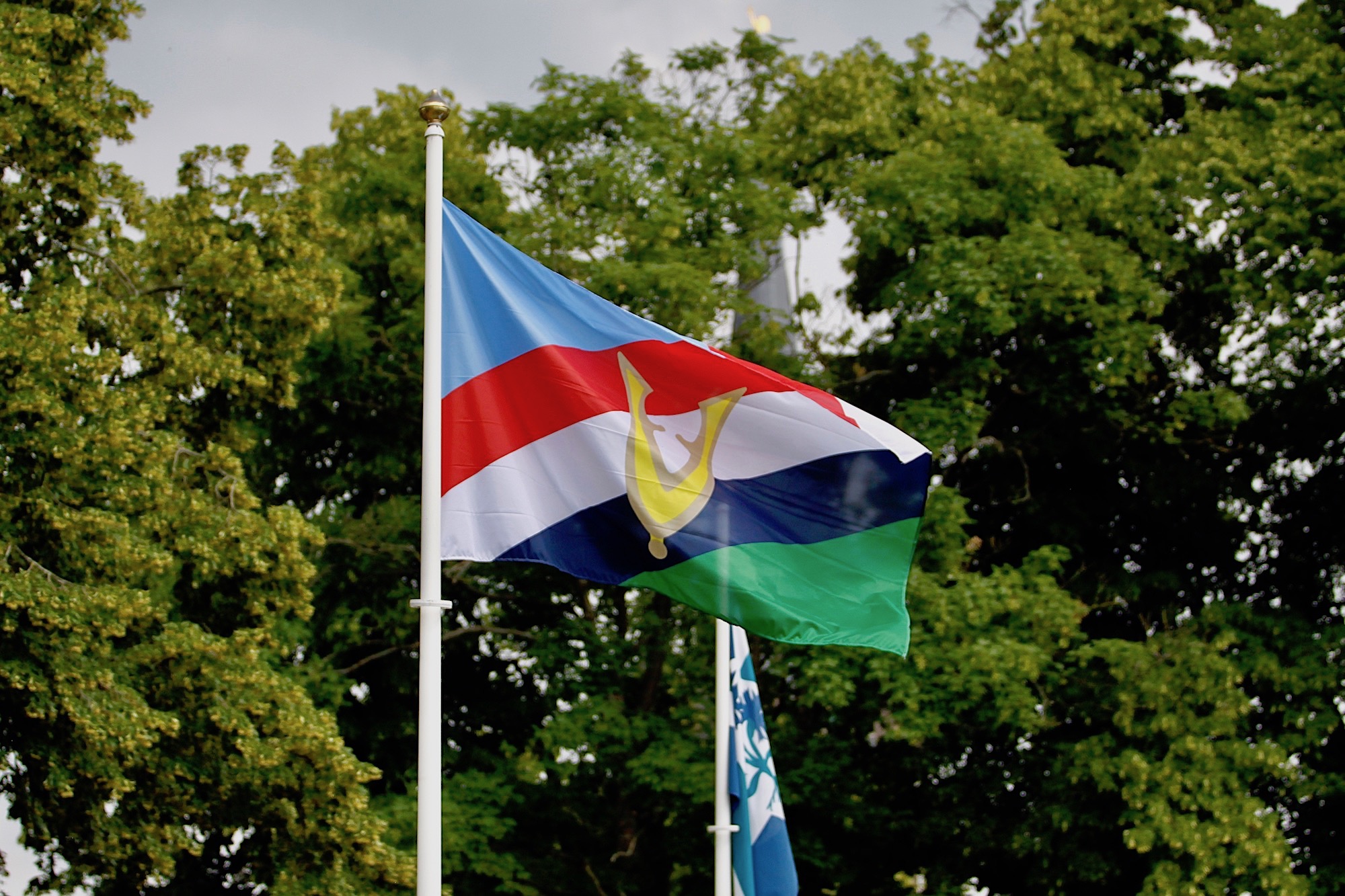 veteranenvlag - 1 (1)