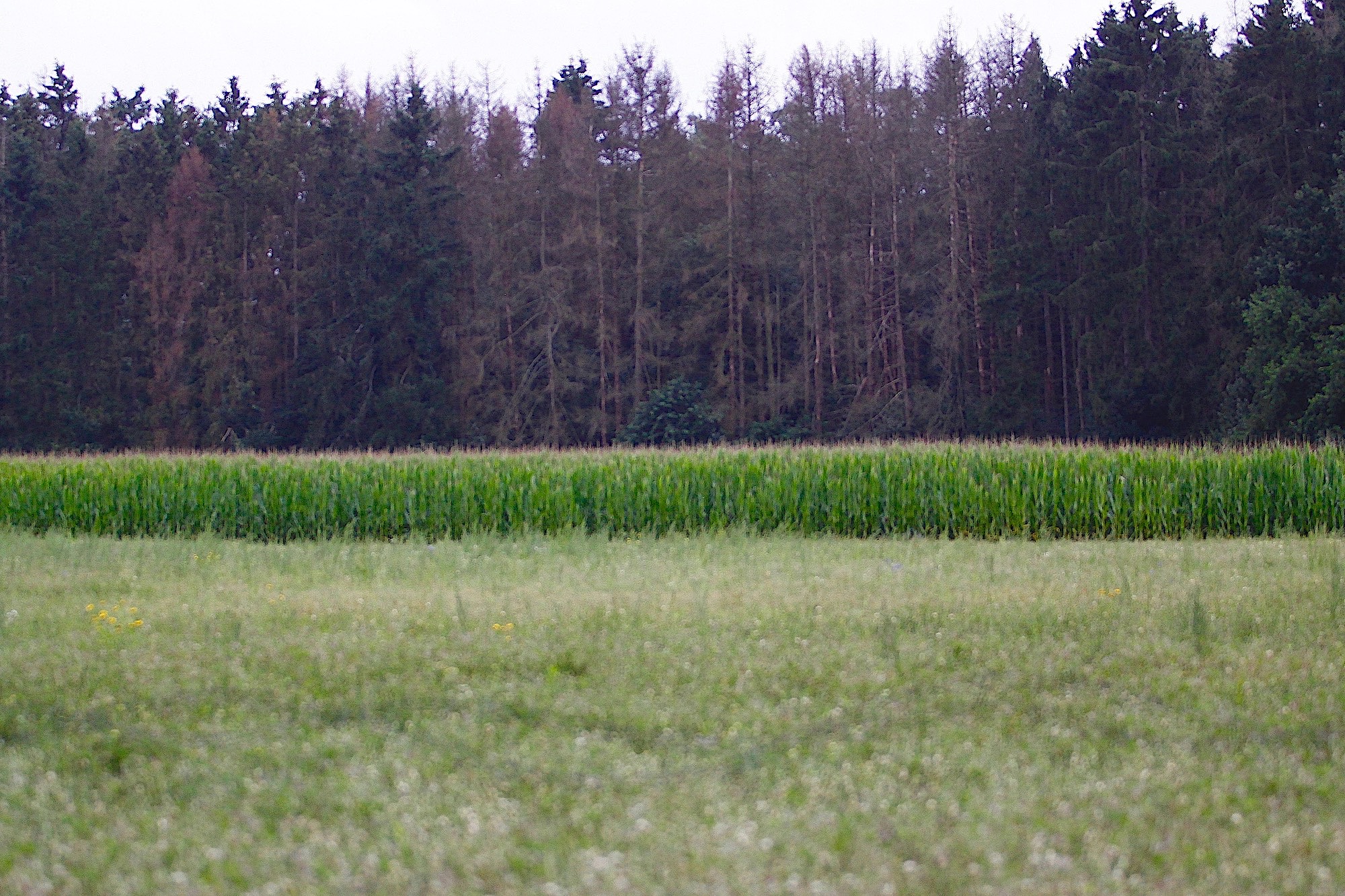 eng-busswg-prikzonder - 1