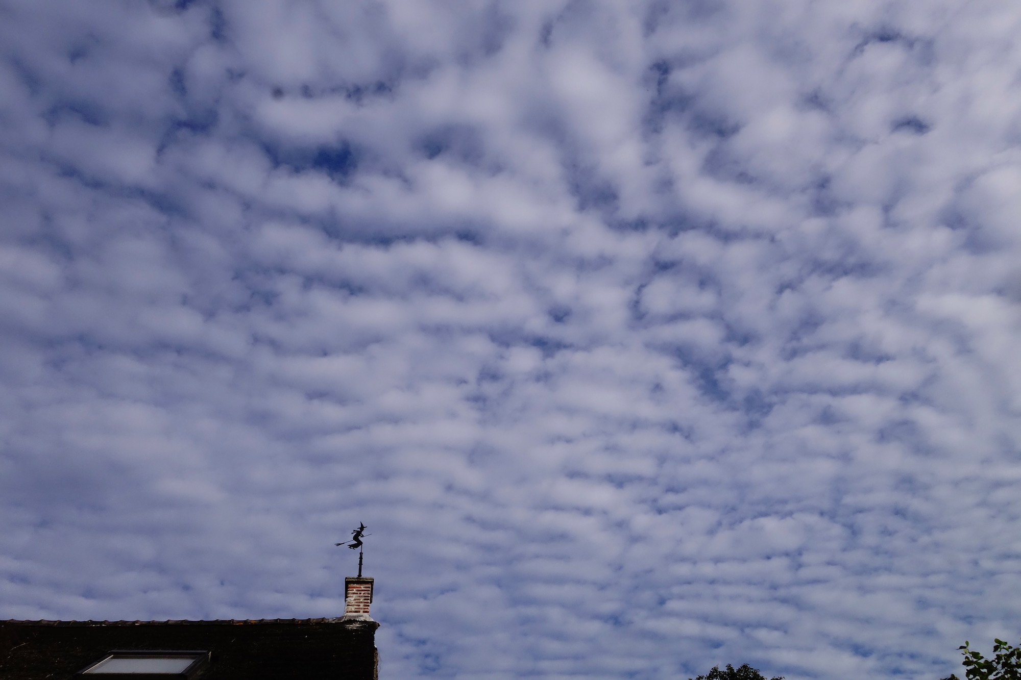 schapenwolken - 1