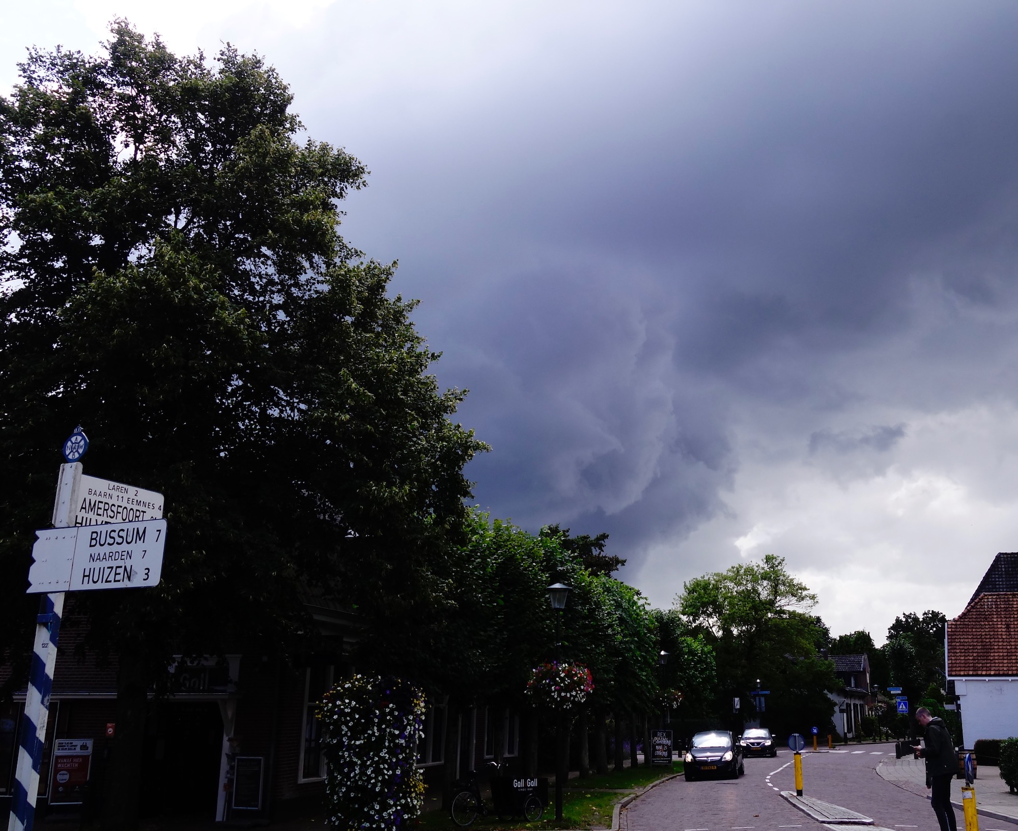 wolk - 1