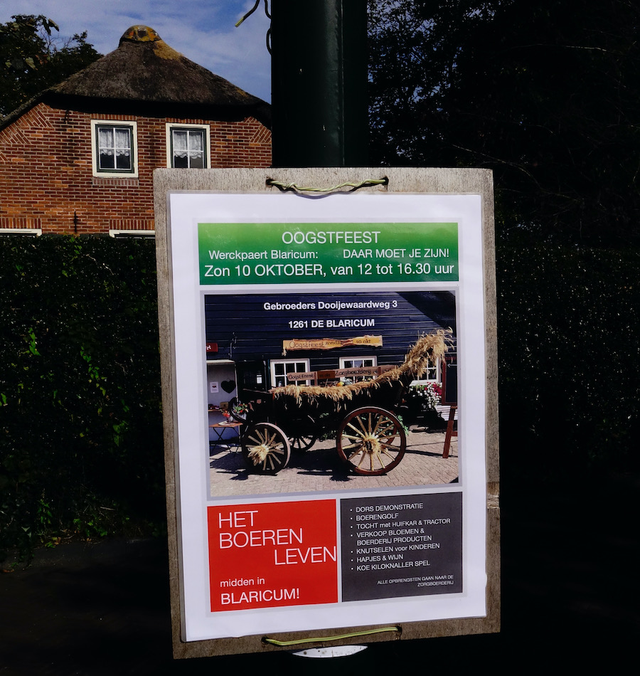 oogstfeest - 1