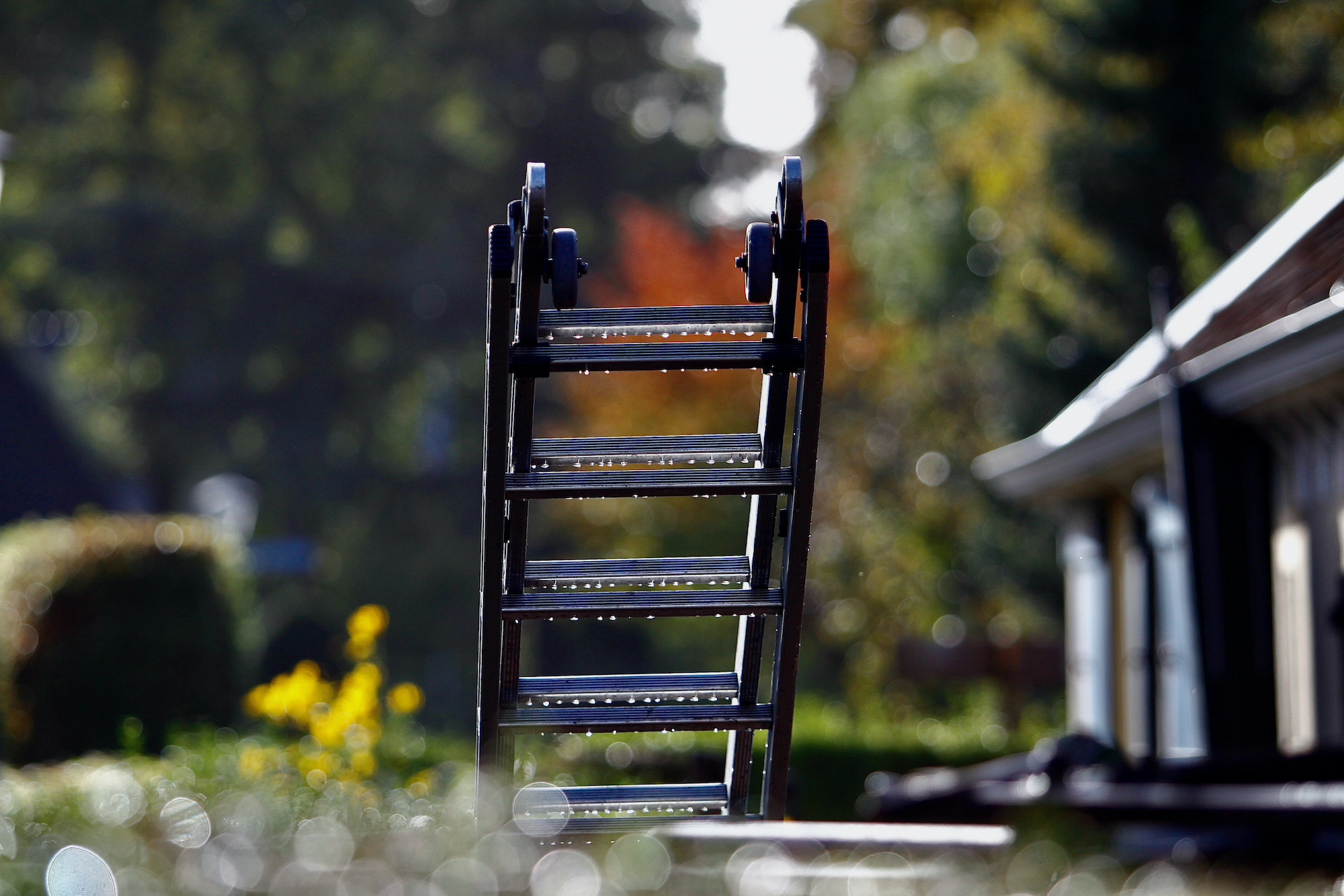 ladder-druppels - 1