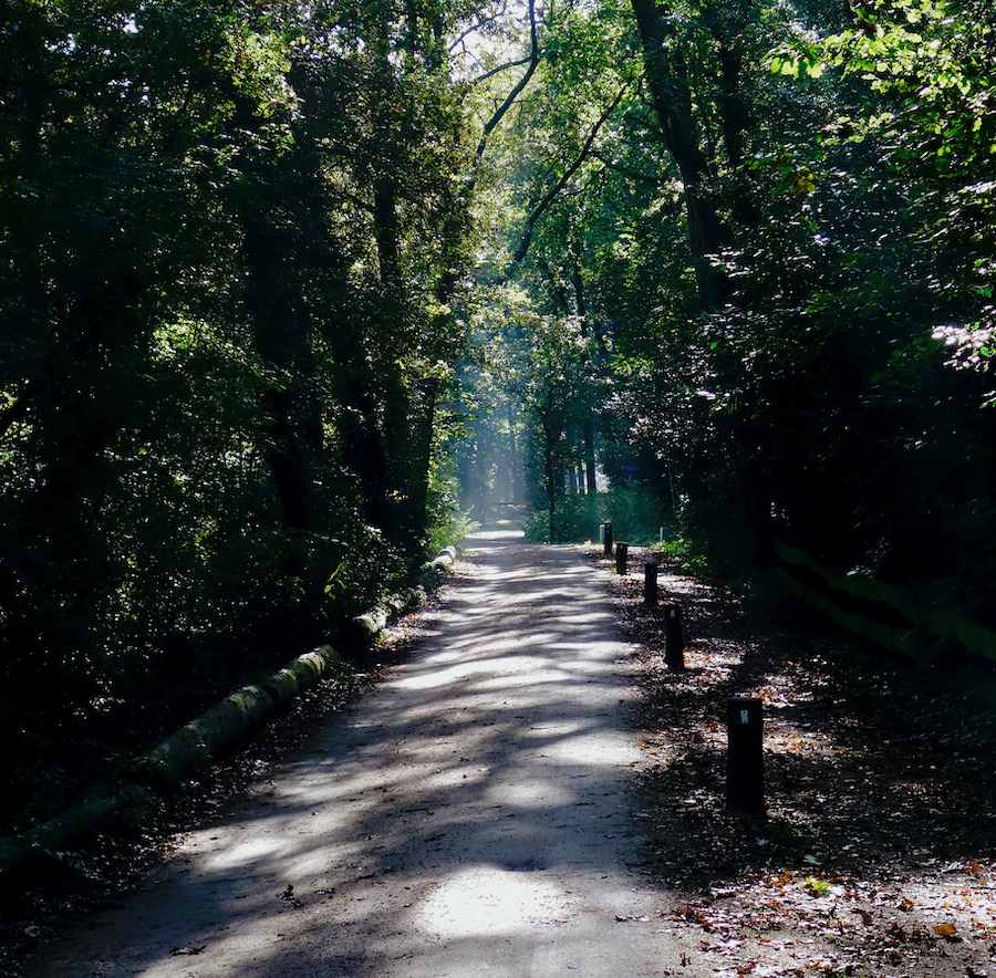 melkweg-backlite - 1