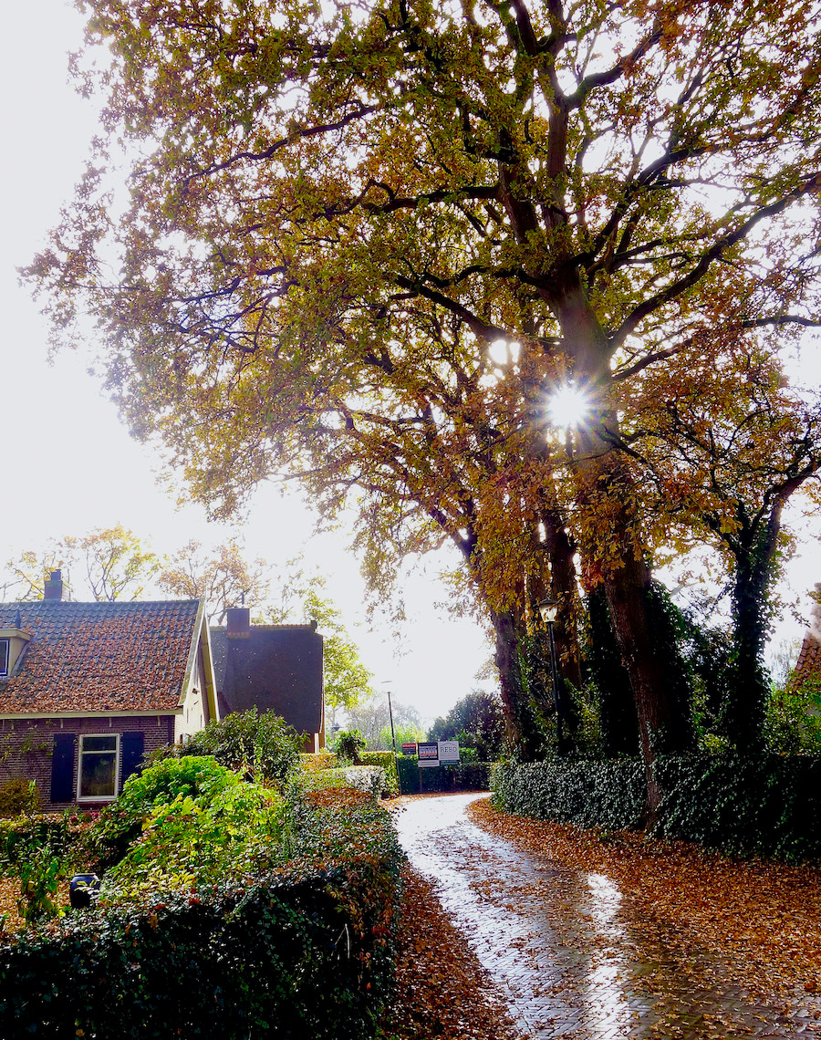 doorkijk-achterom - 1