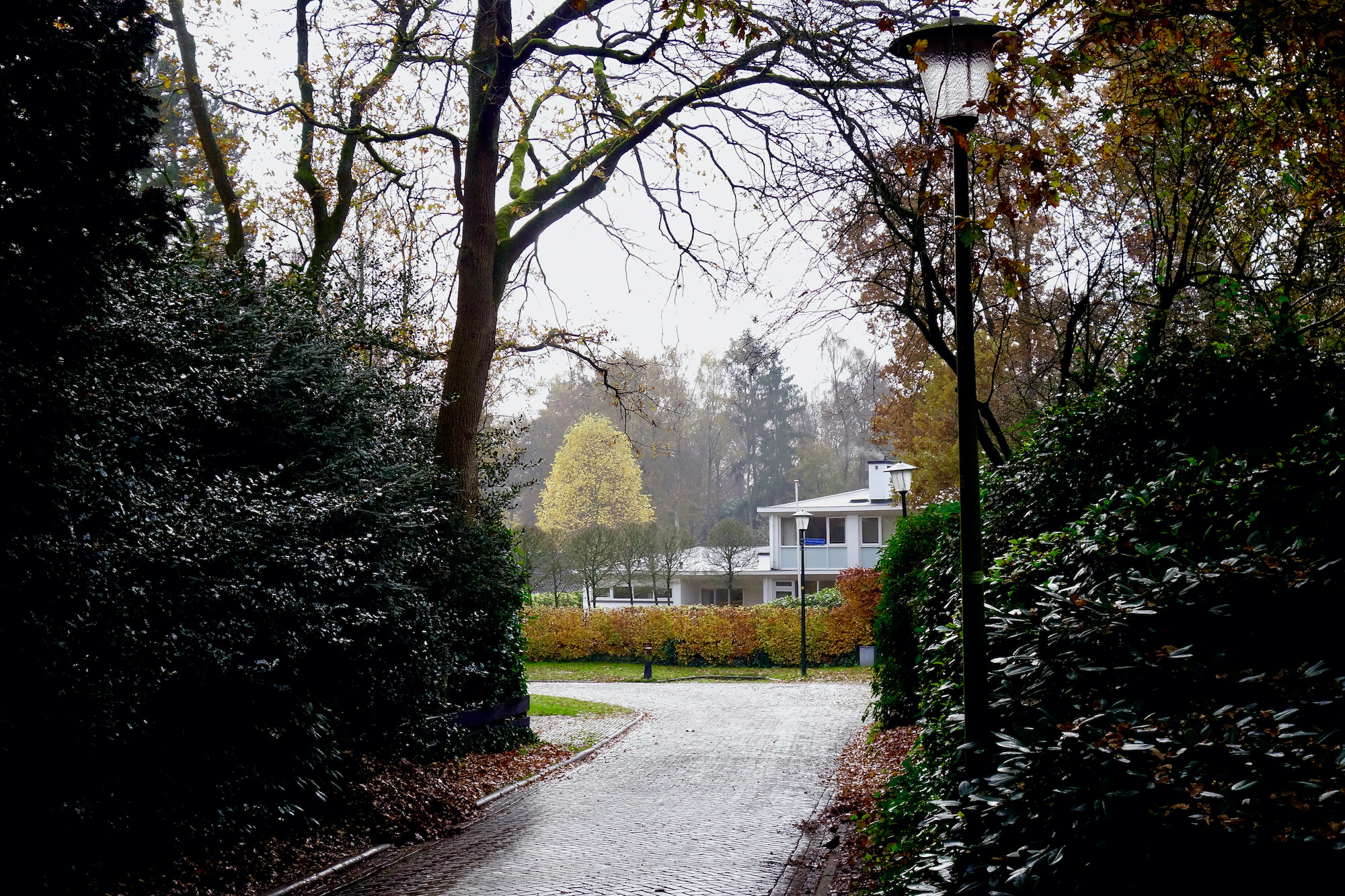 doorkijk-bierweg - 1