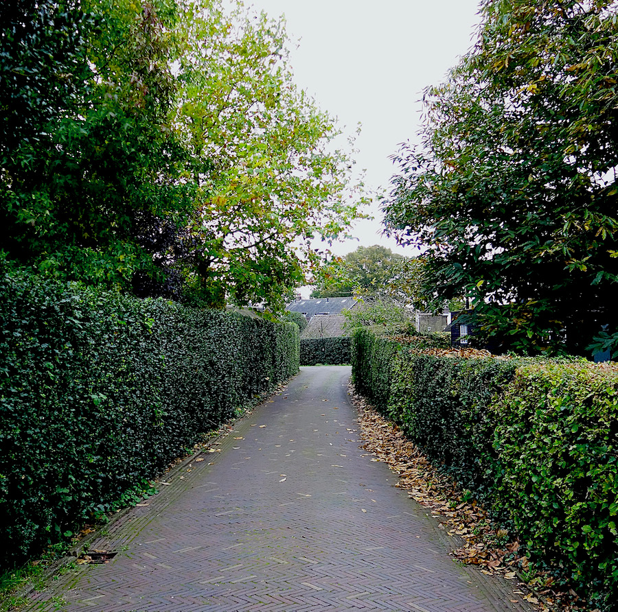 doorkijklangeweg - 1
