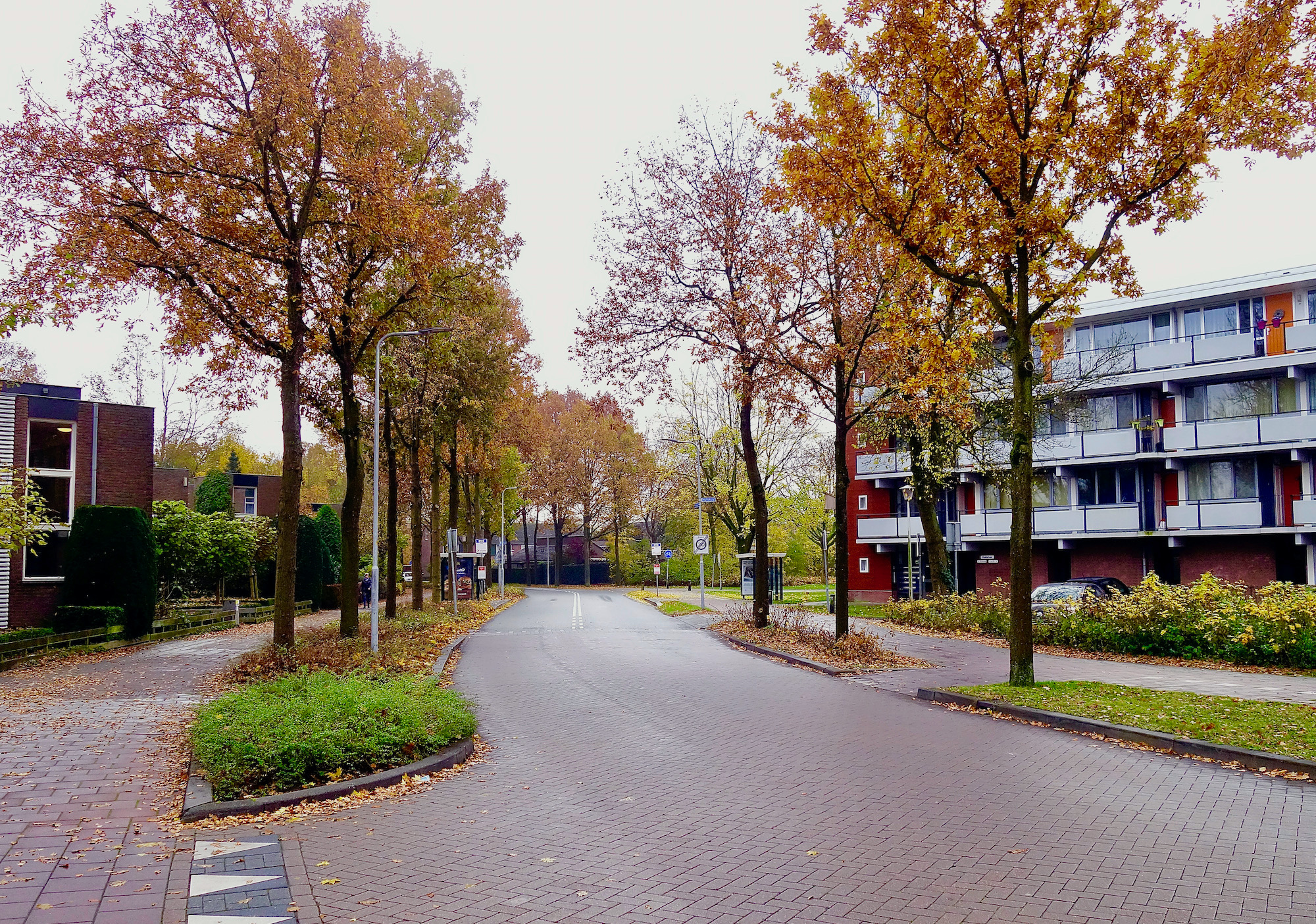 noord-herfst - 1