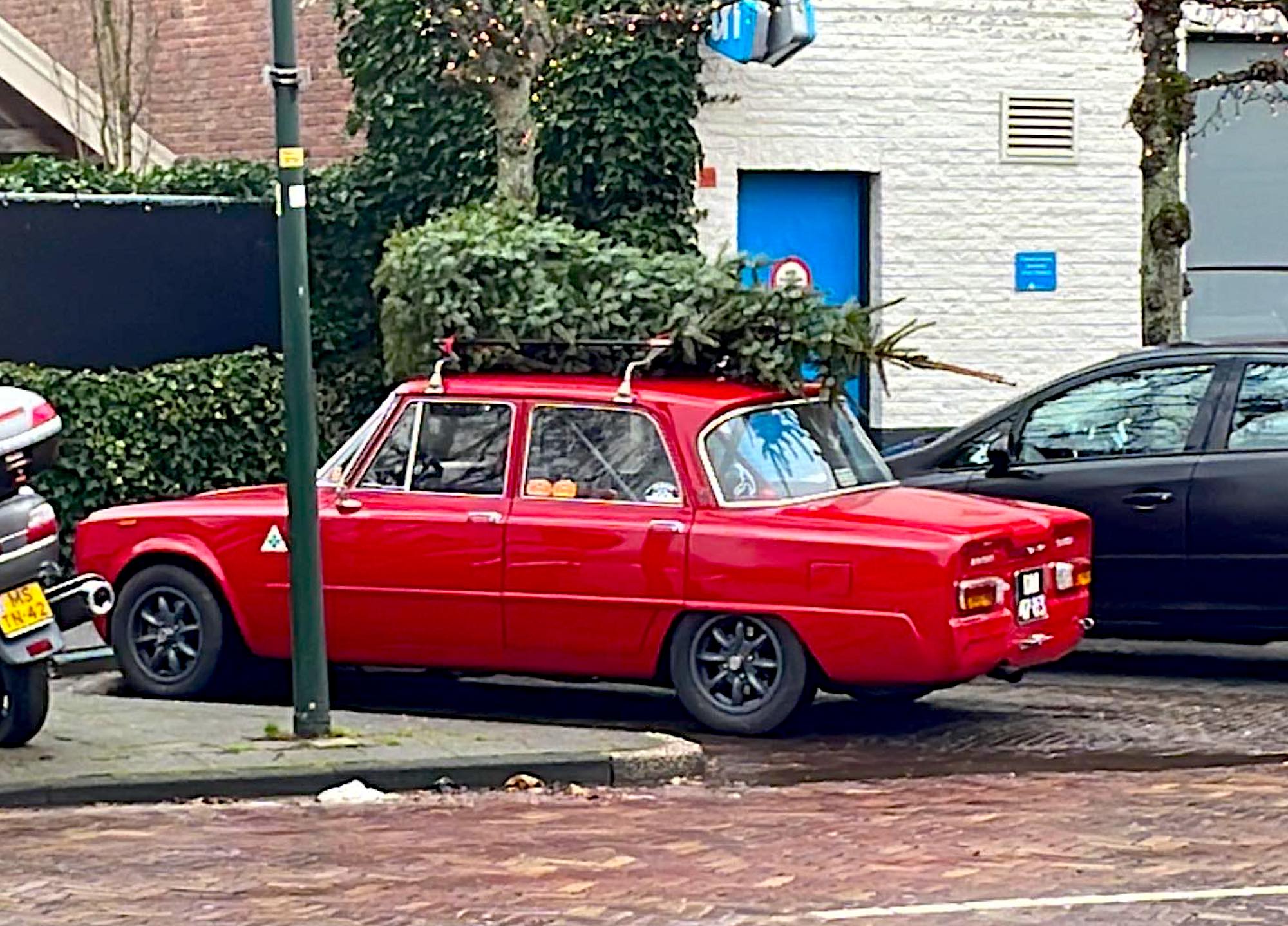 alfa boom