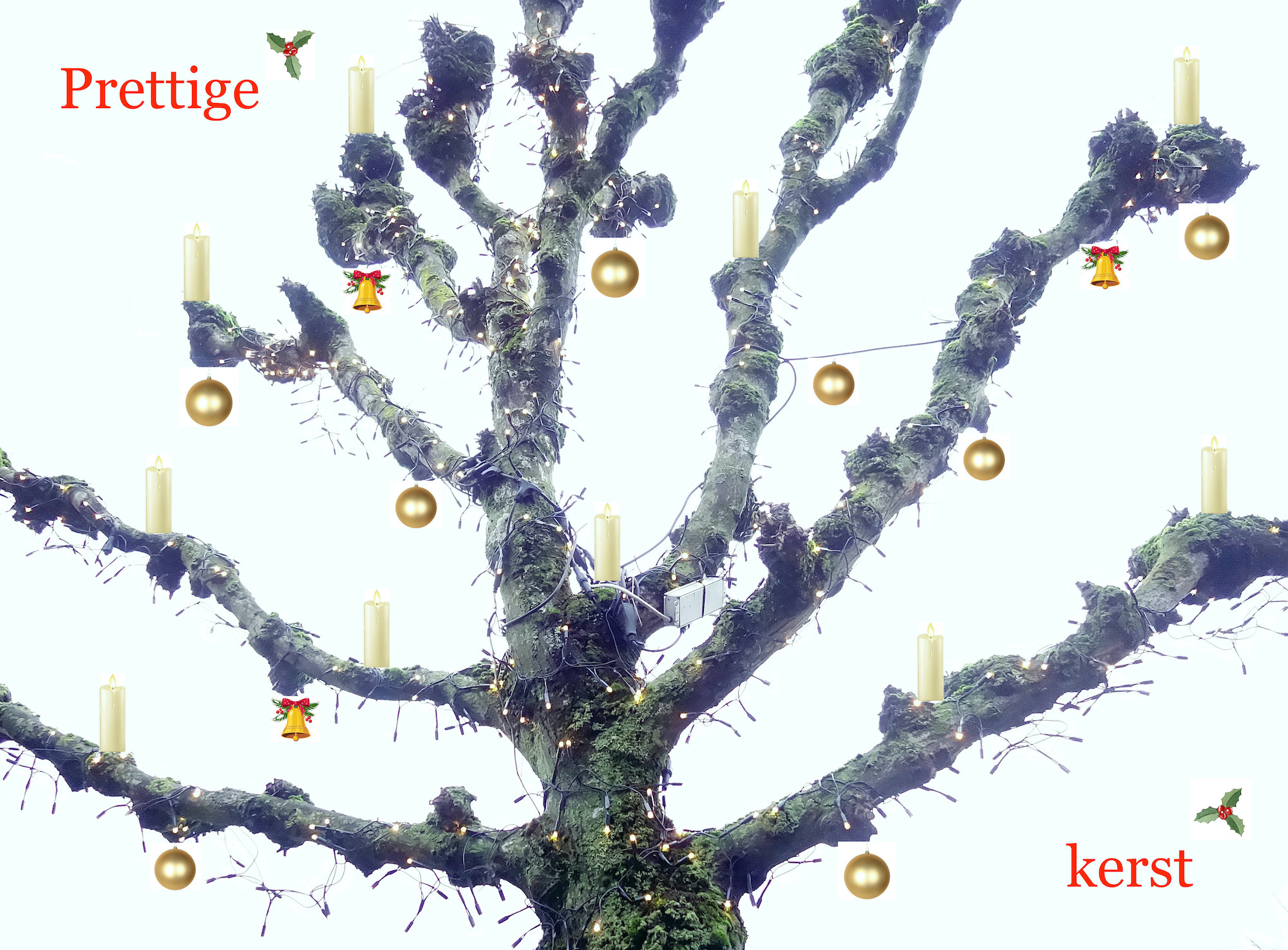 leilindelichtjes2 - 1