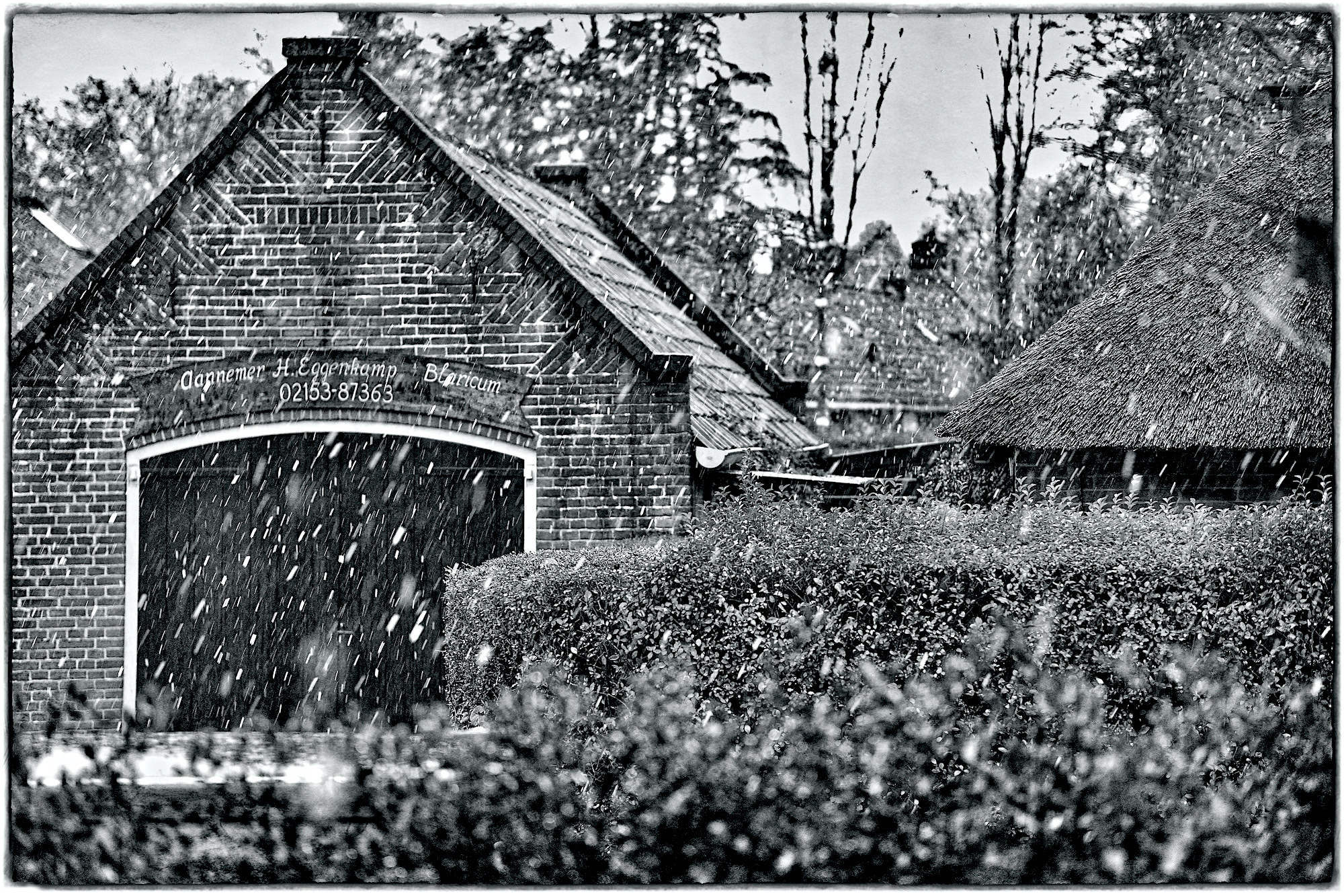 nattesneeuw-henk-bw2 - 1