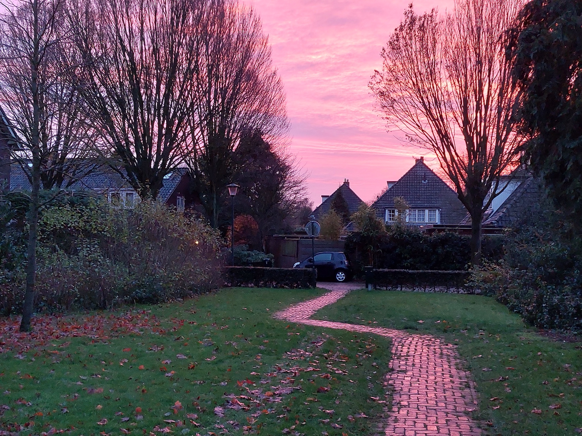 ochtend