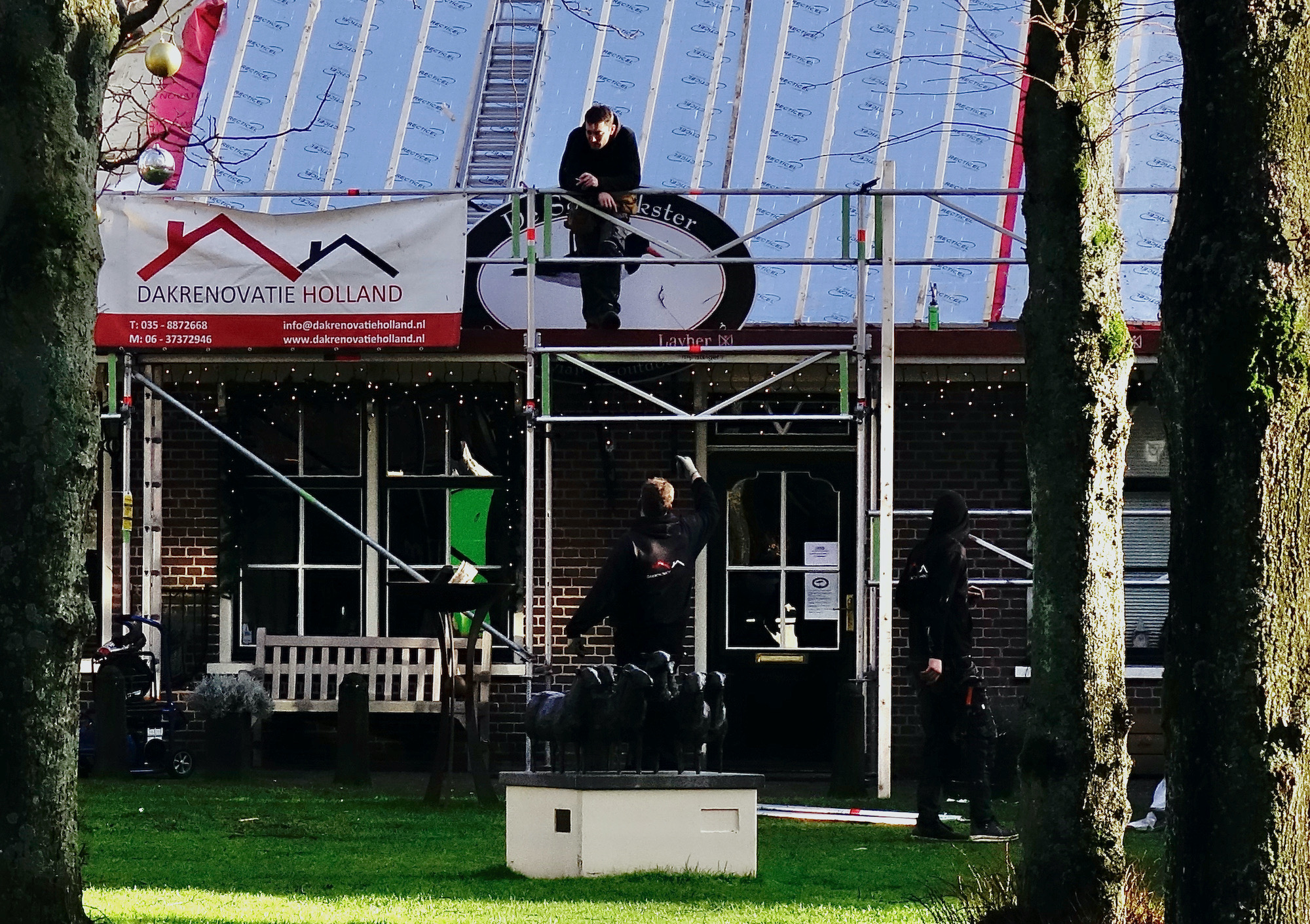 scholekster-blaat - 1