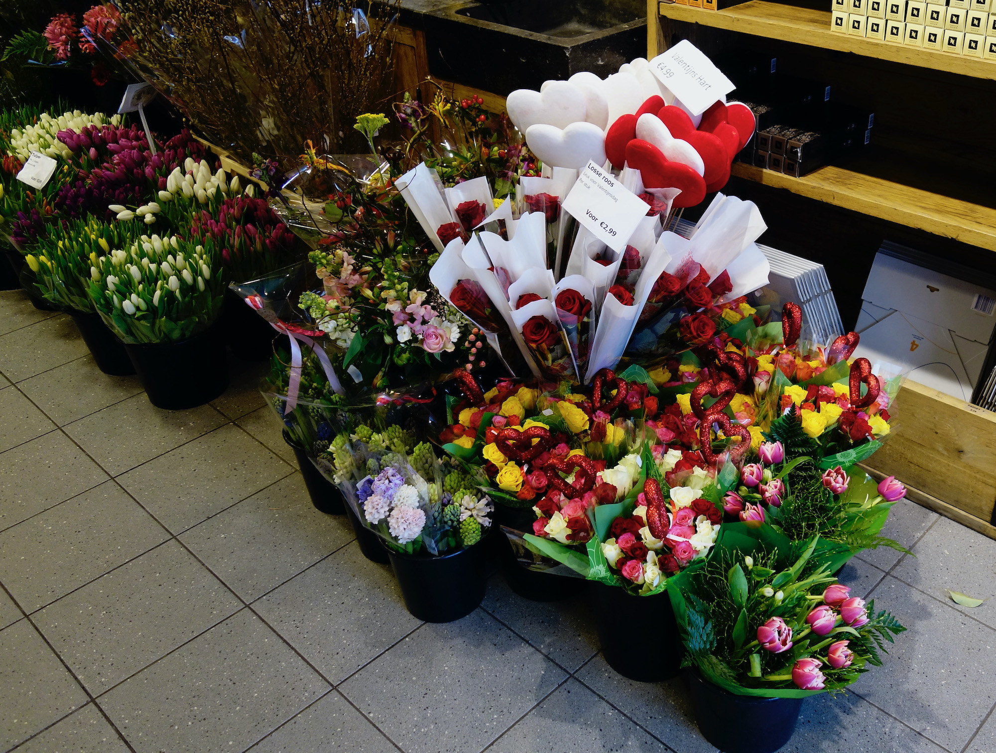 losse roos - 1