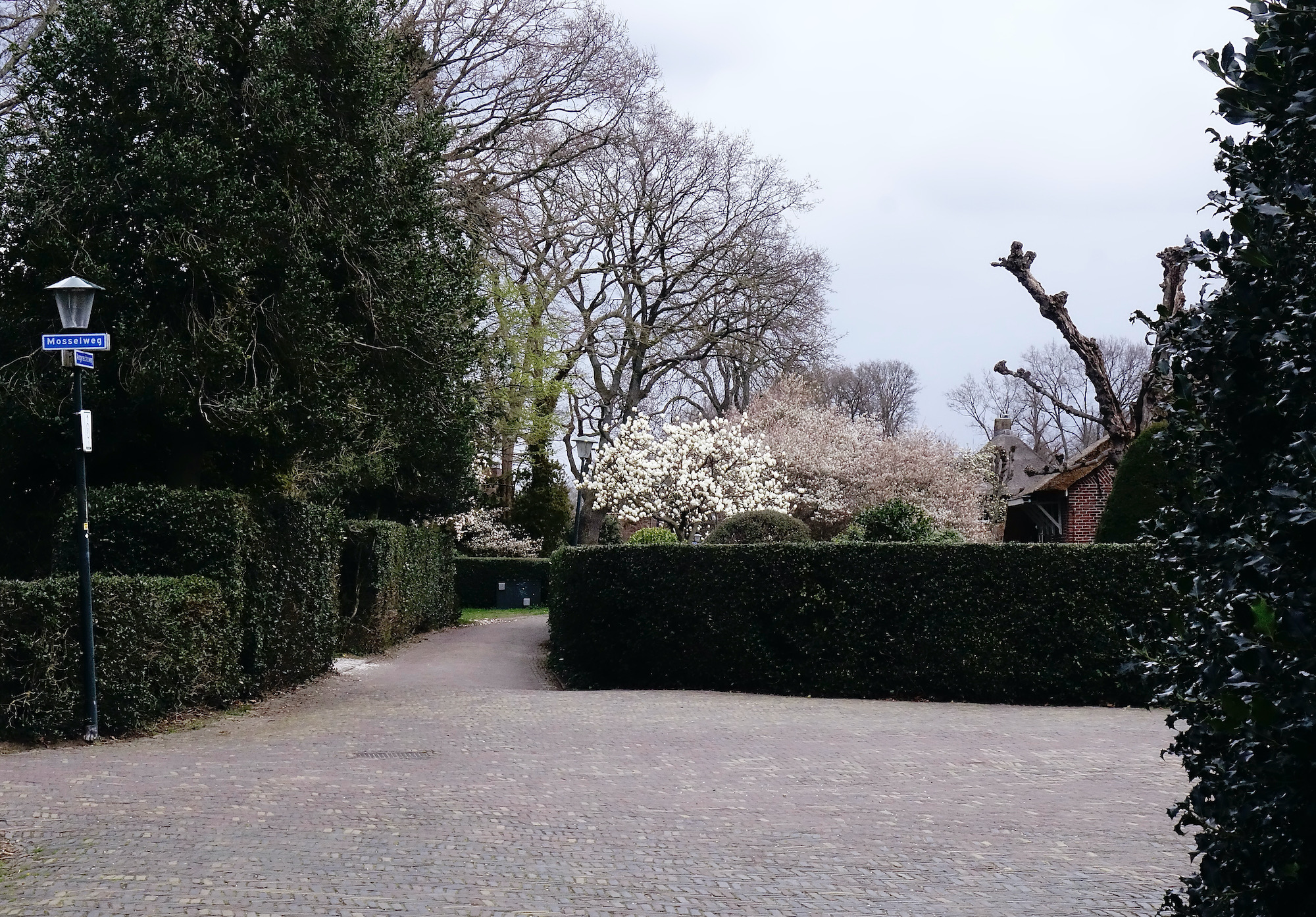 bloesem angerechtswg - 1