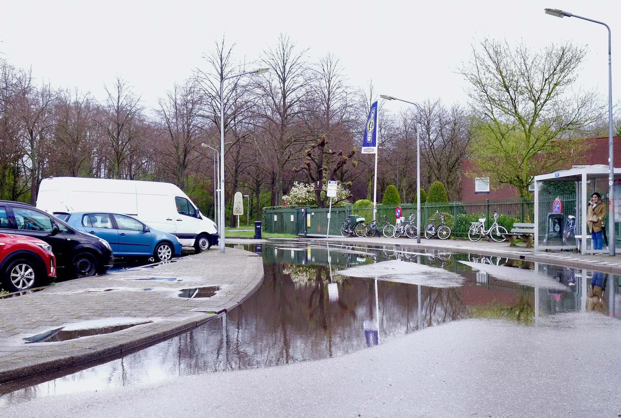 bloesembus - 1