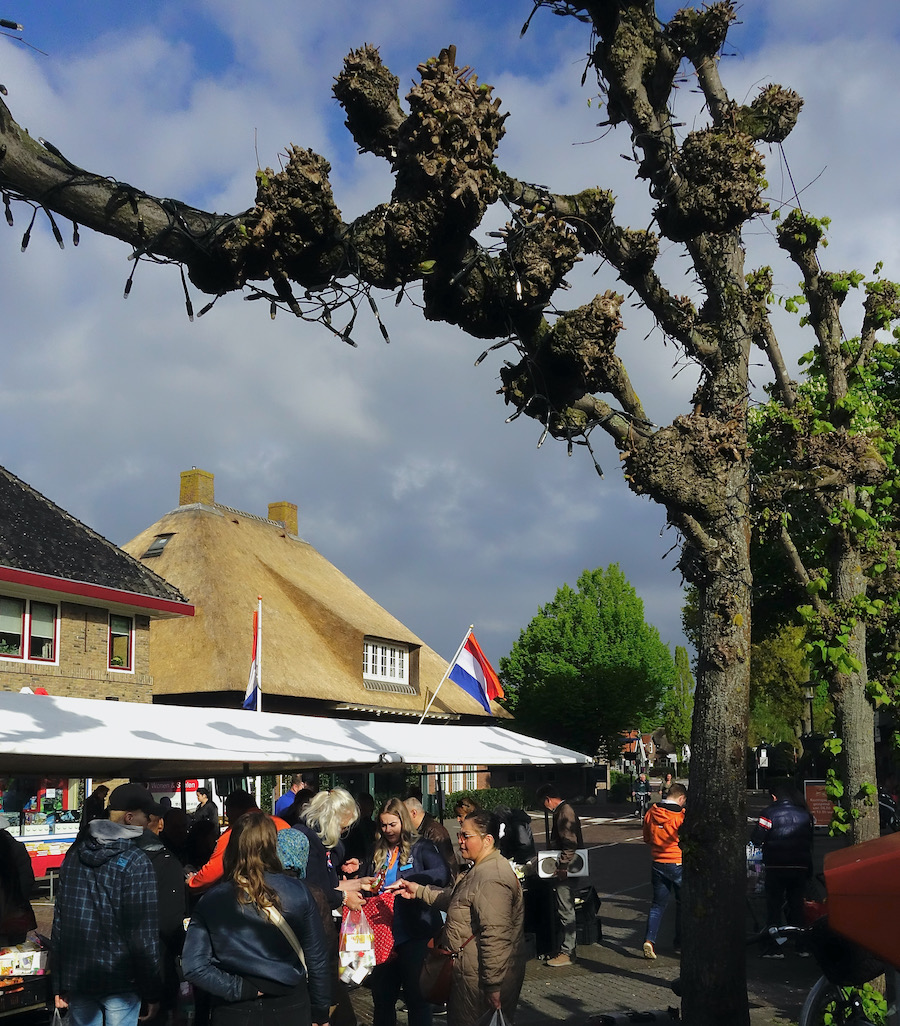 kdag1 - 1