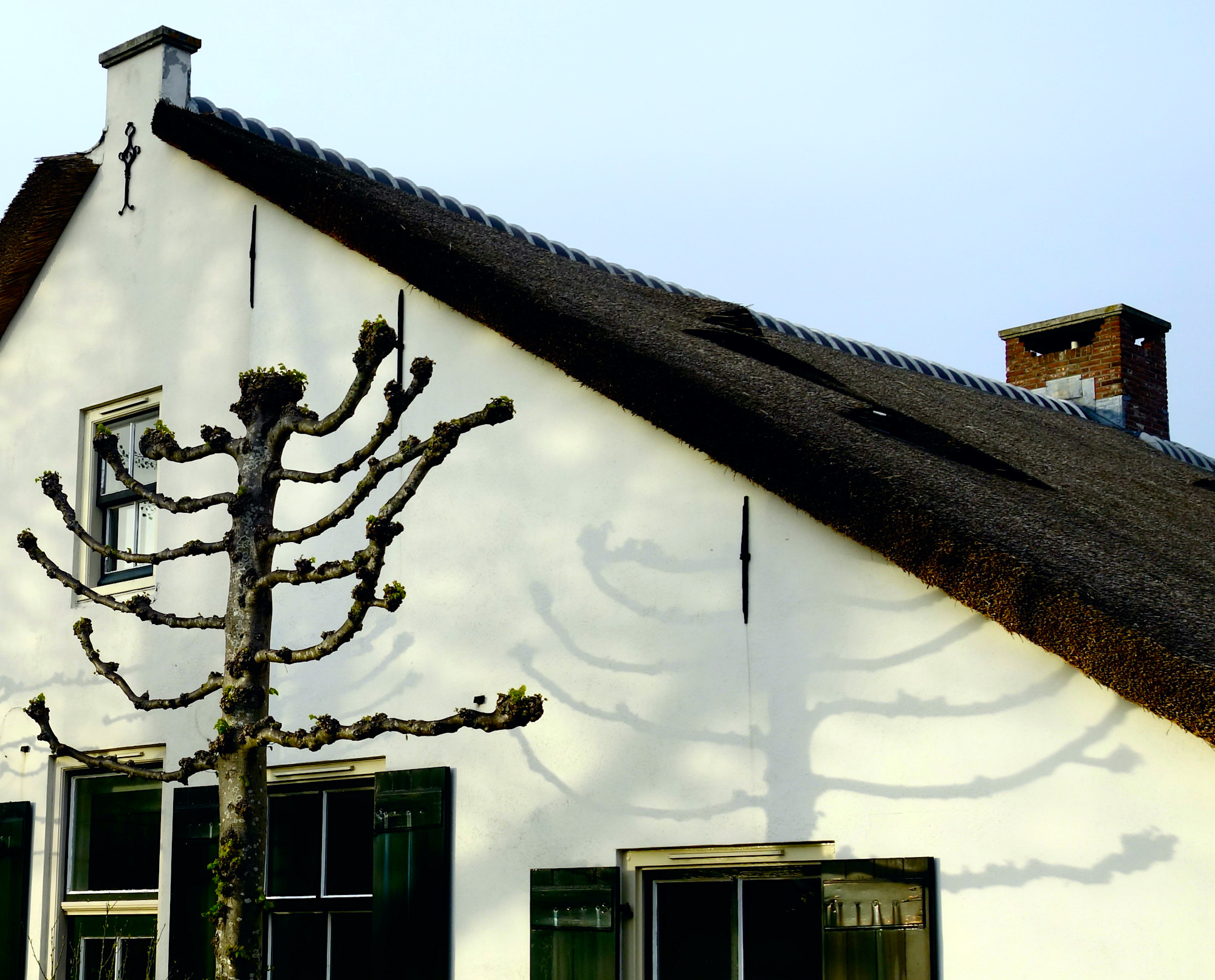 leilinde schaduw - 1