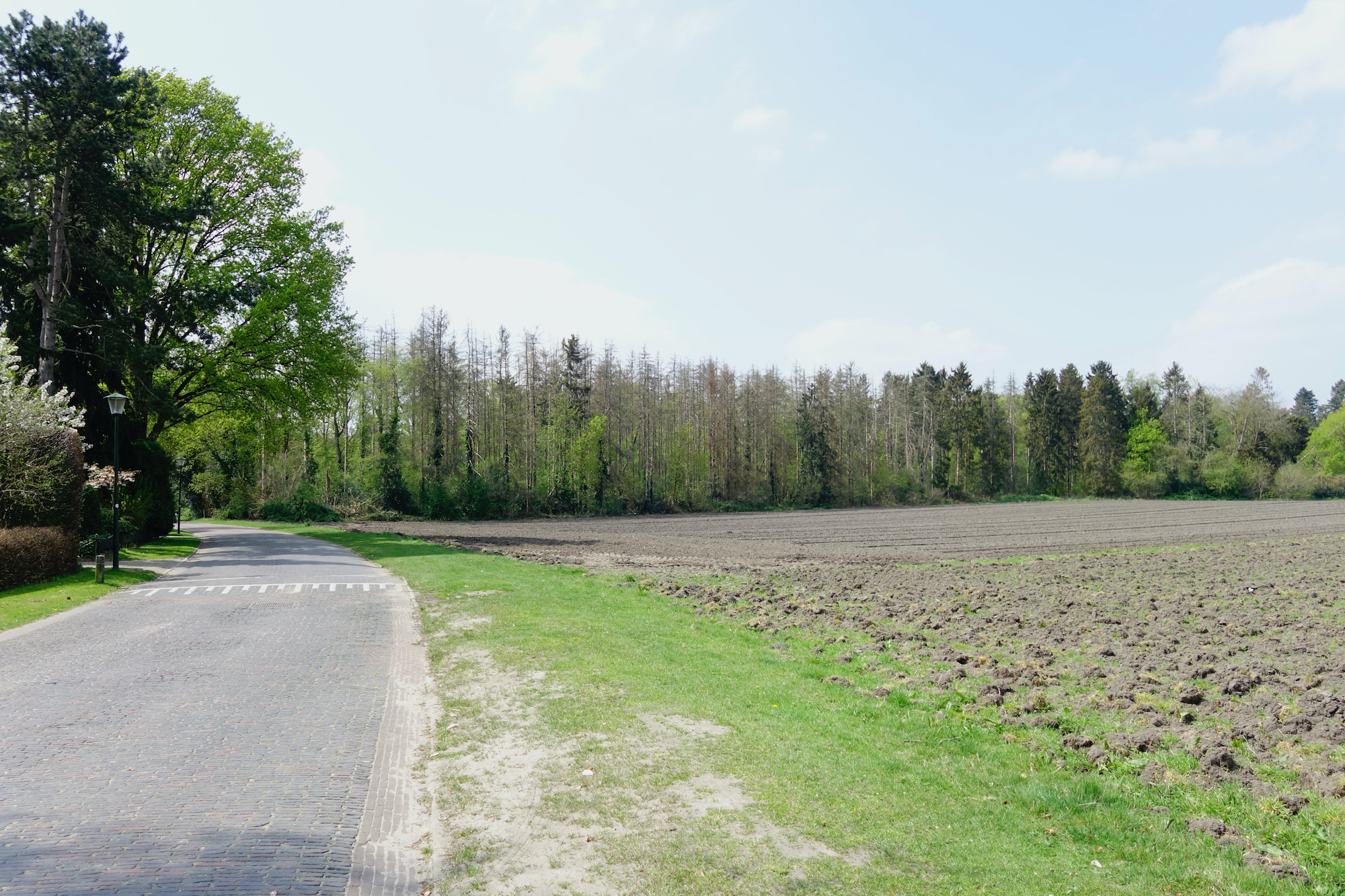 noolse-engslecht1 - 1 (1)