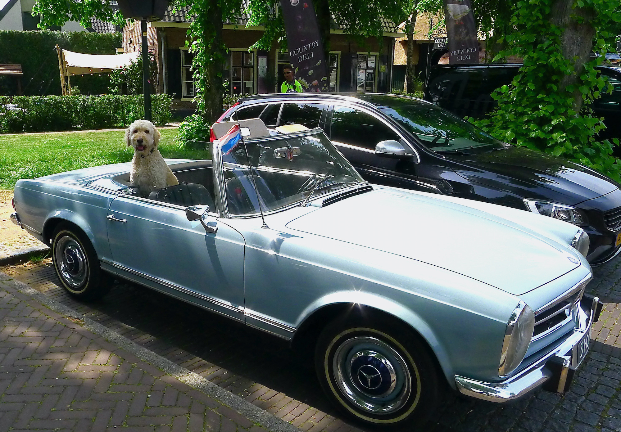 hoi-benz - 1