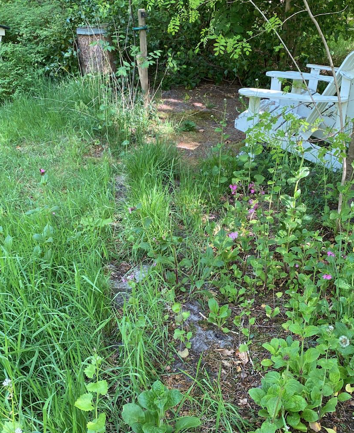 Schermafbeelding 2022-05-09 om 12.53.35 PM