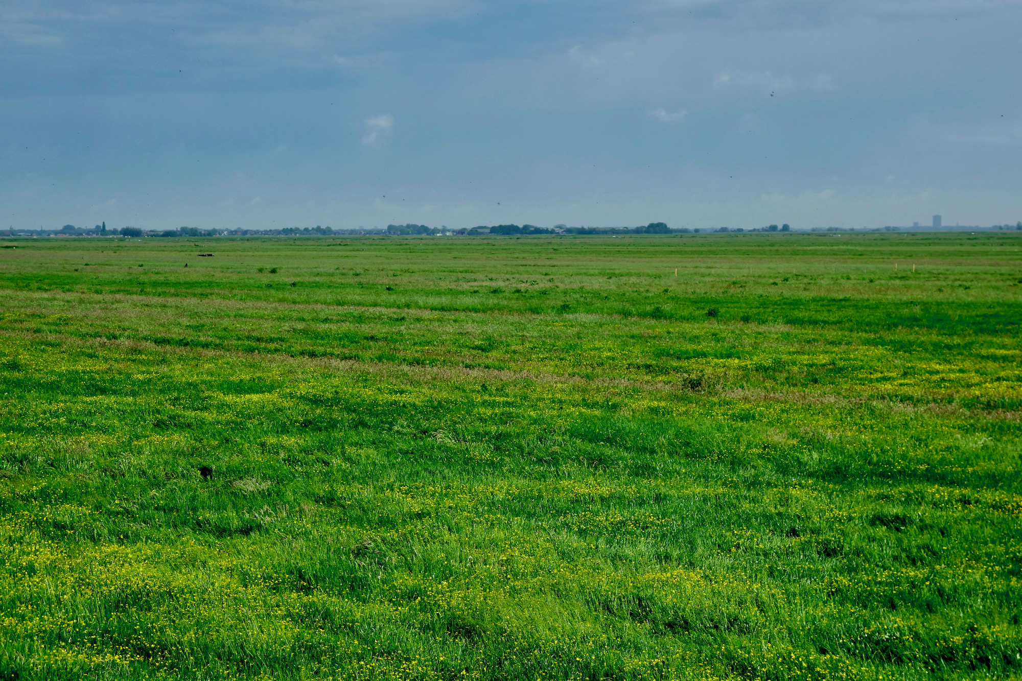 verte oost - 1