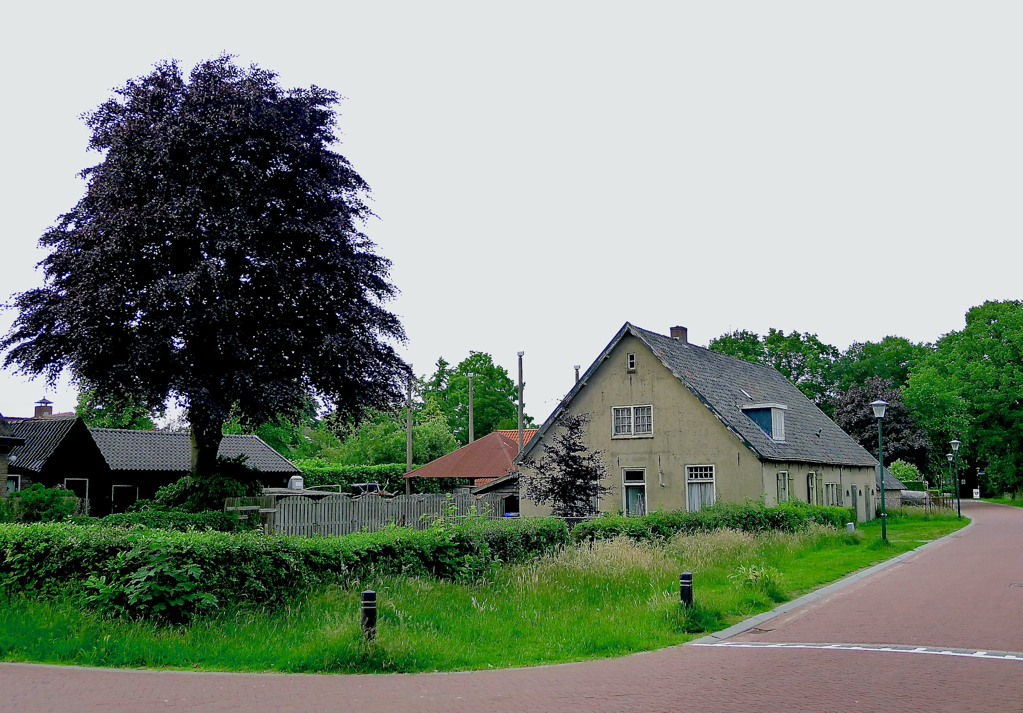 dorpscomp schapendr - 1