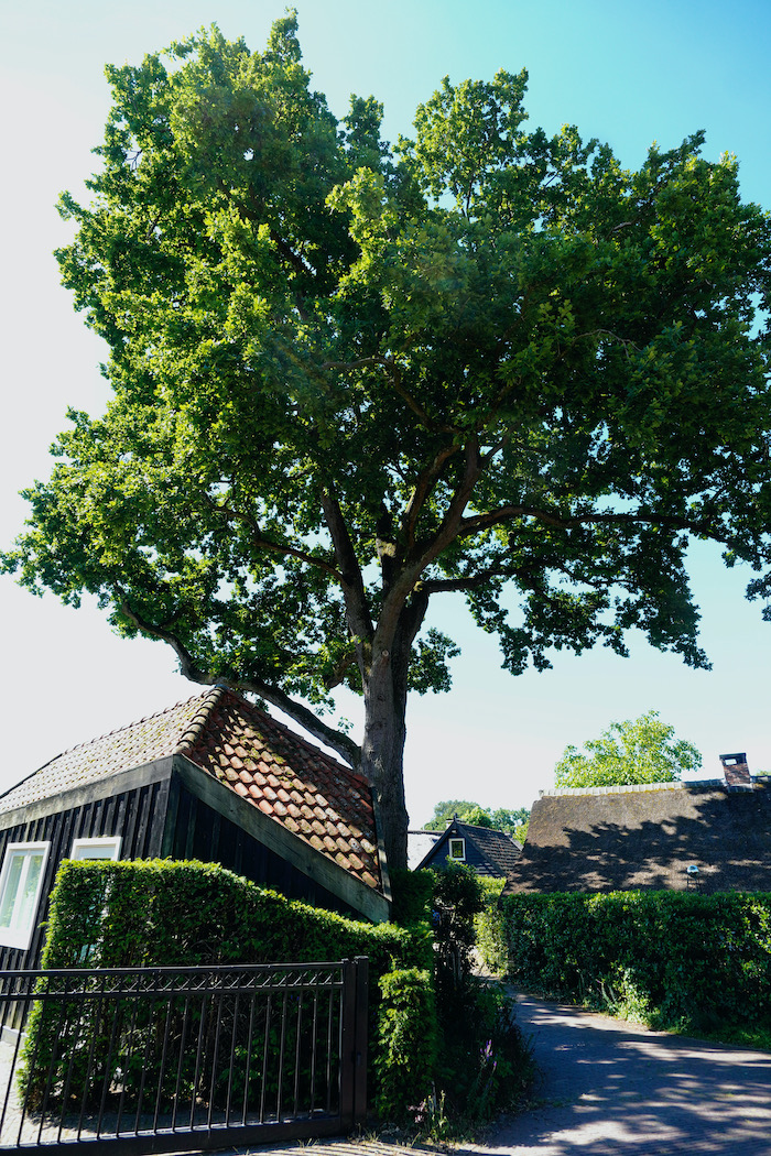 dorpsecompo mosselwg - 1