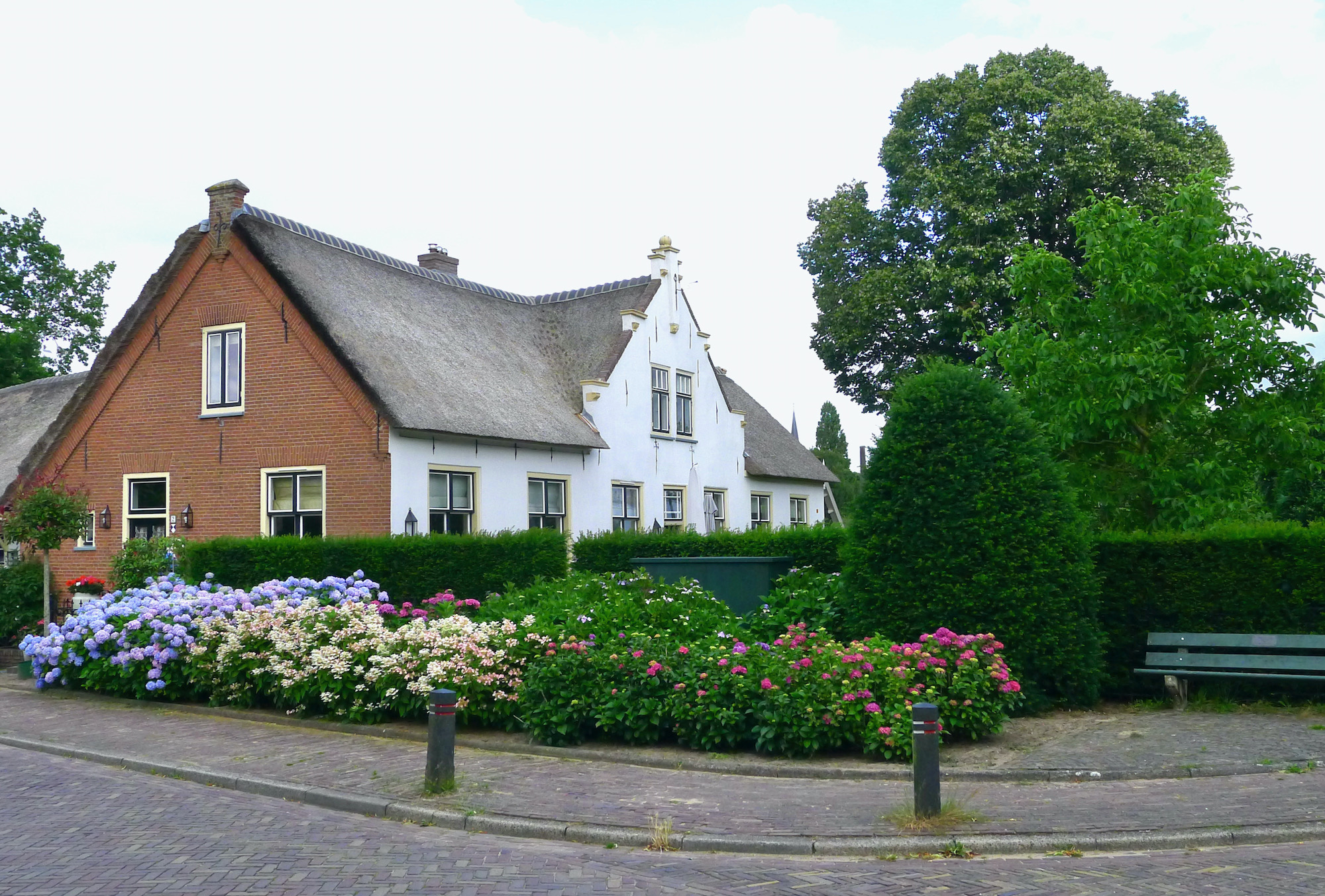 bloemenoudhs fr ruijt - 1