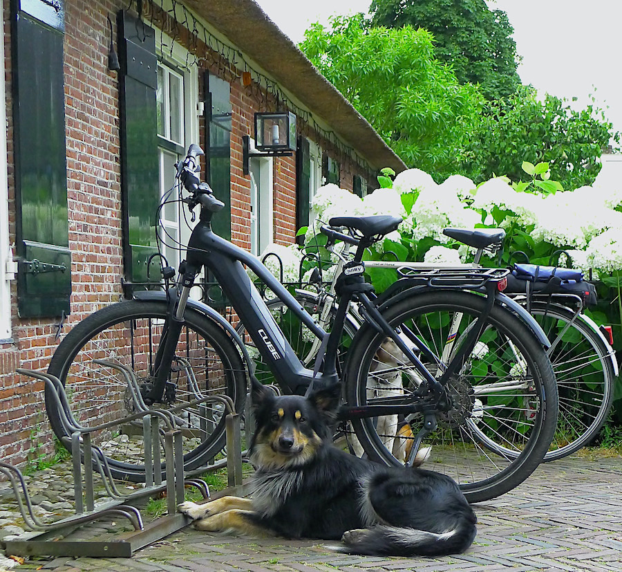hoi fiets - 1