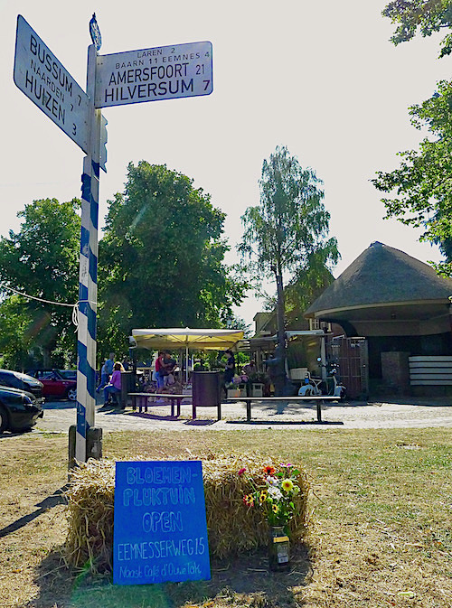 bordbloementuin - 1
