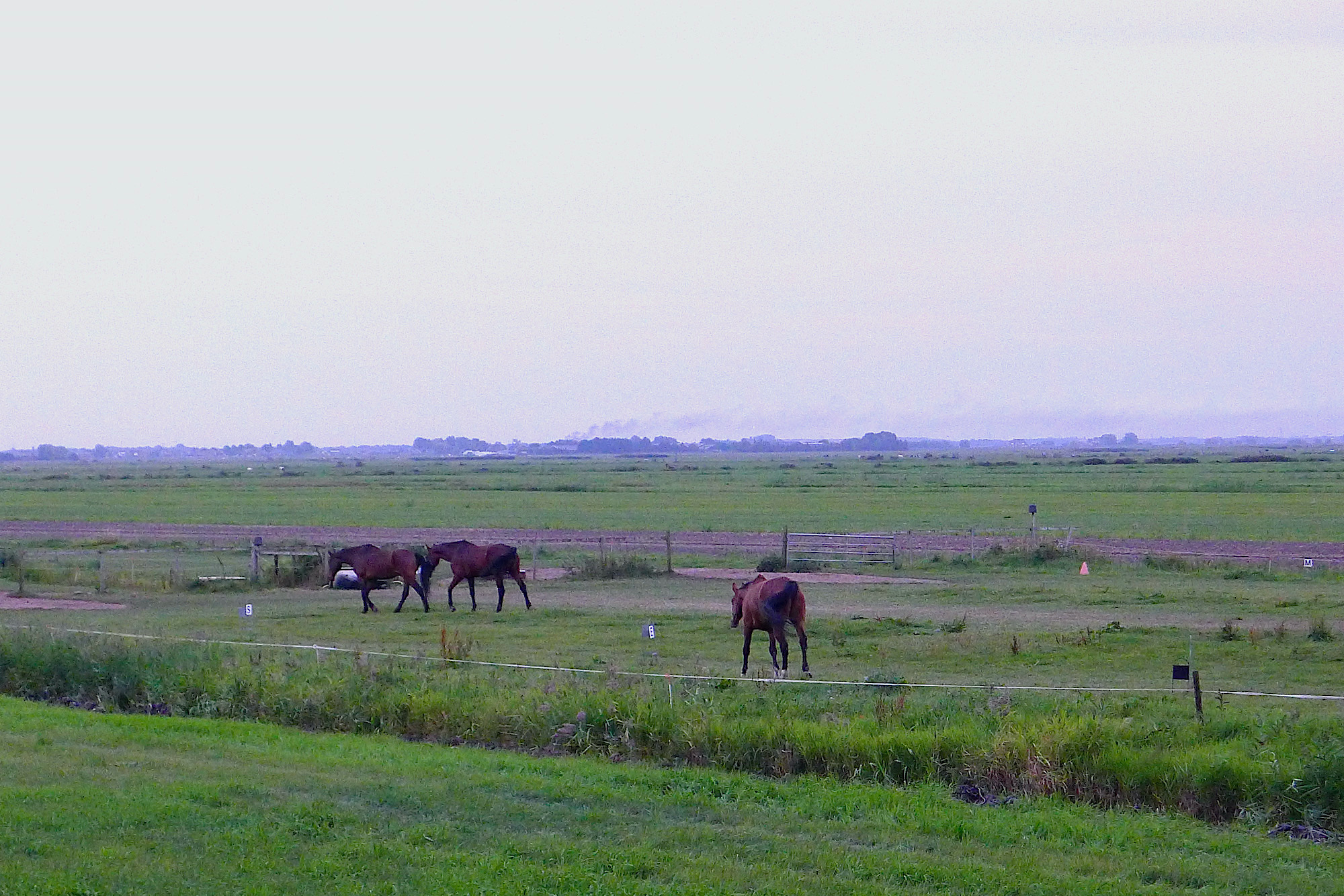 brandje eemdijk-brugge - 1