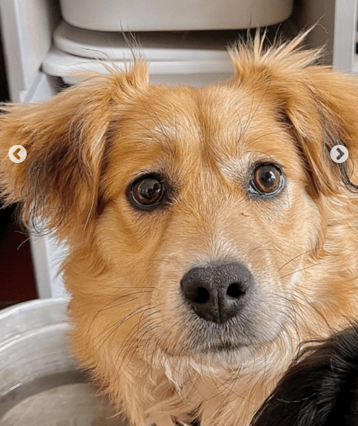 Schermafbeelding 2022-09-28 om 23.10.43