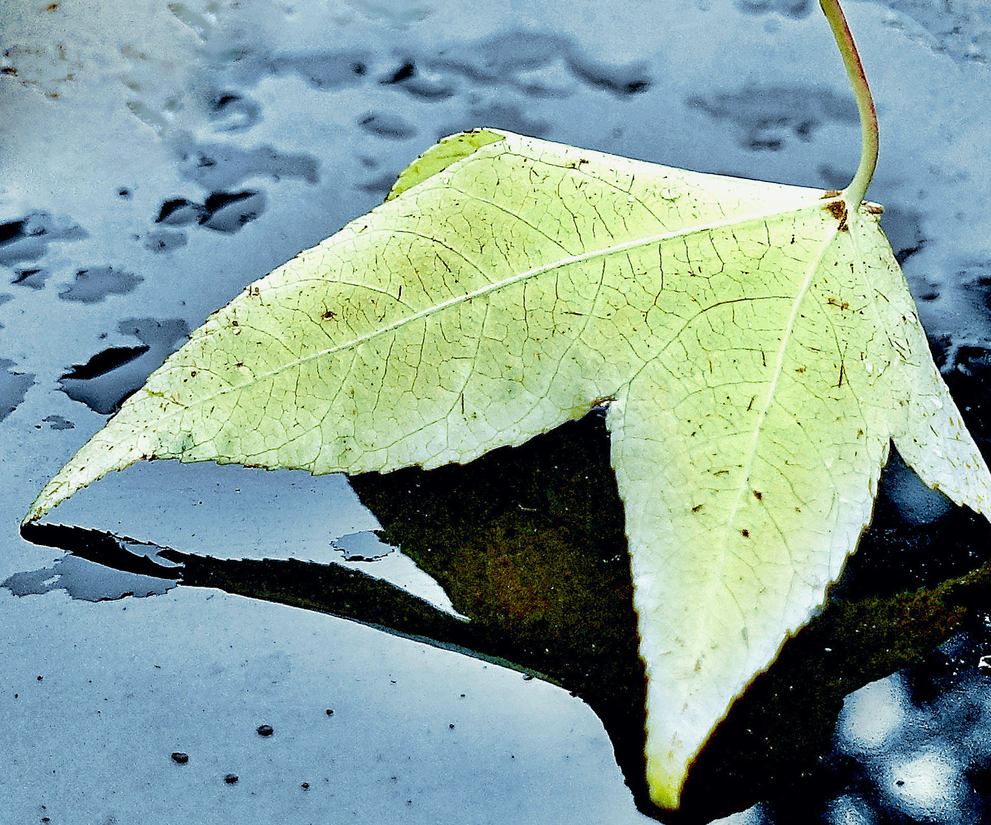blad autodak3 - 1 kopie 2