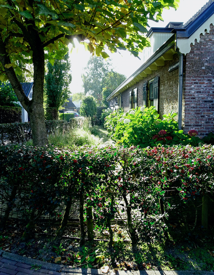 doorkijk 2emolenwg - 1