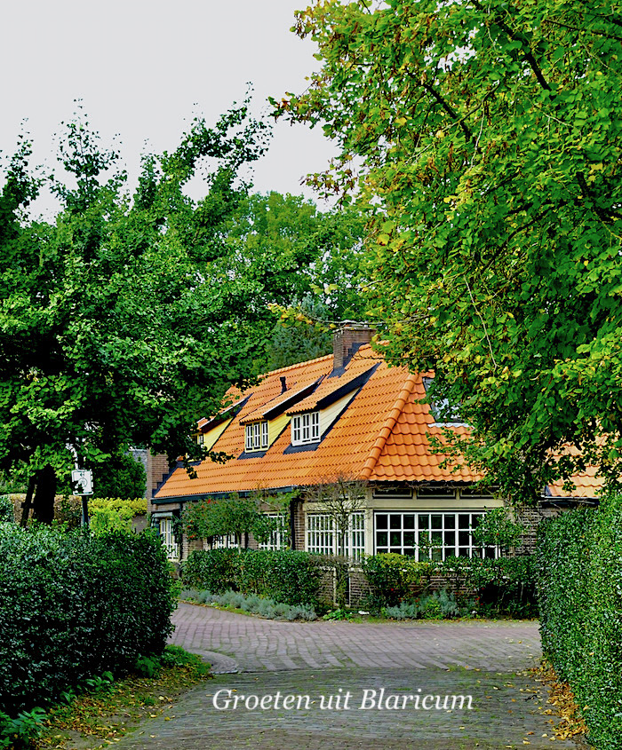 doorkijk meentweg - 1 kopie