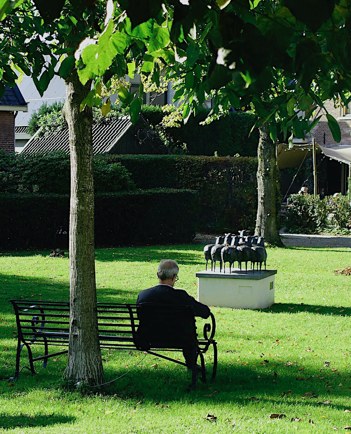 man schaapjes bank - 1