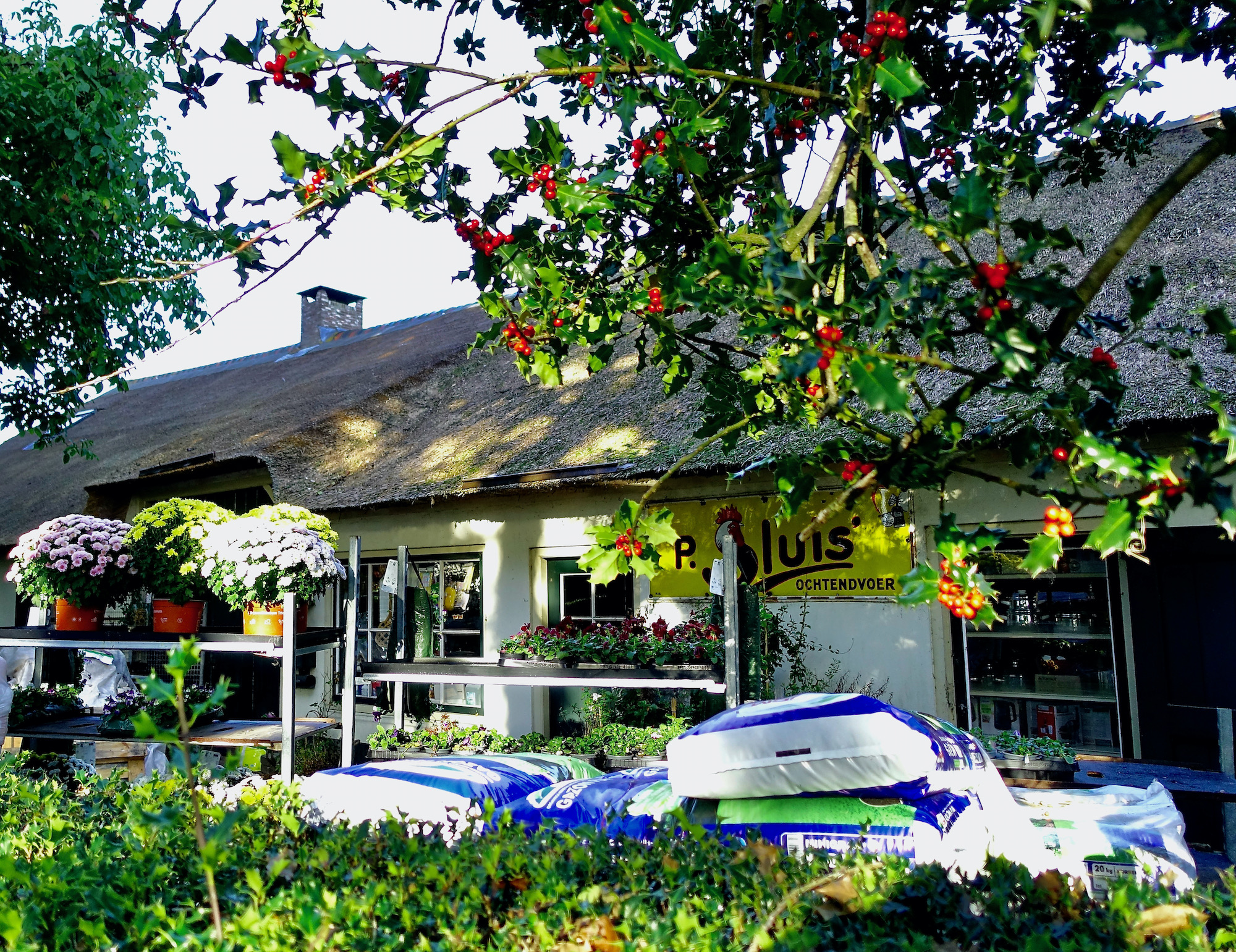 octendvoer meelmuis - 1