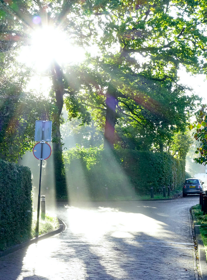 zon op pootjes meentweg1 - 1