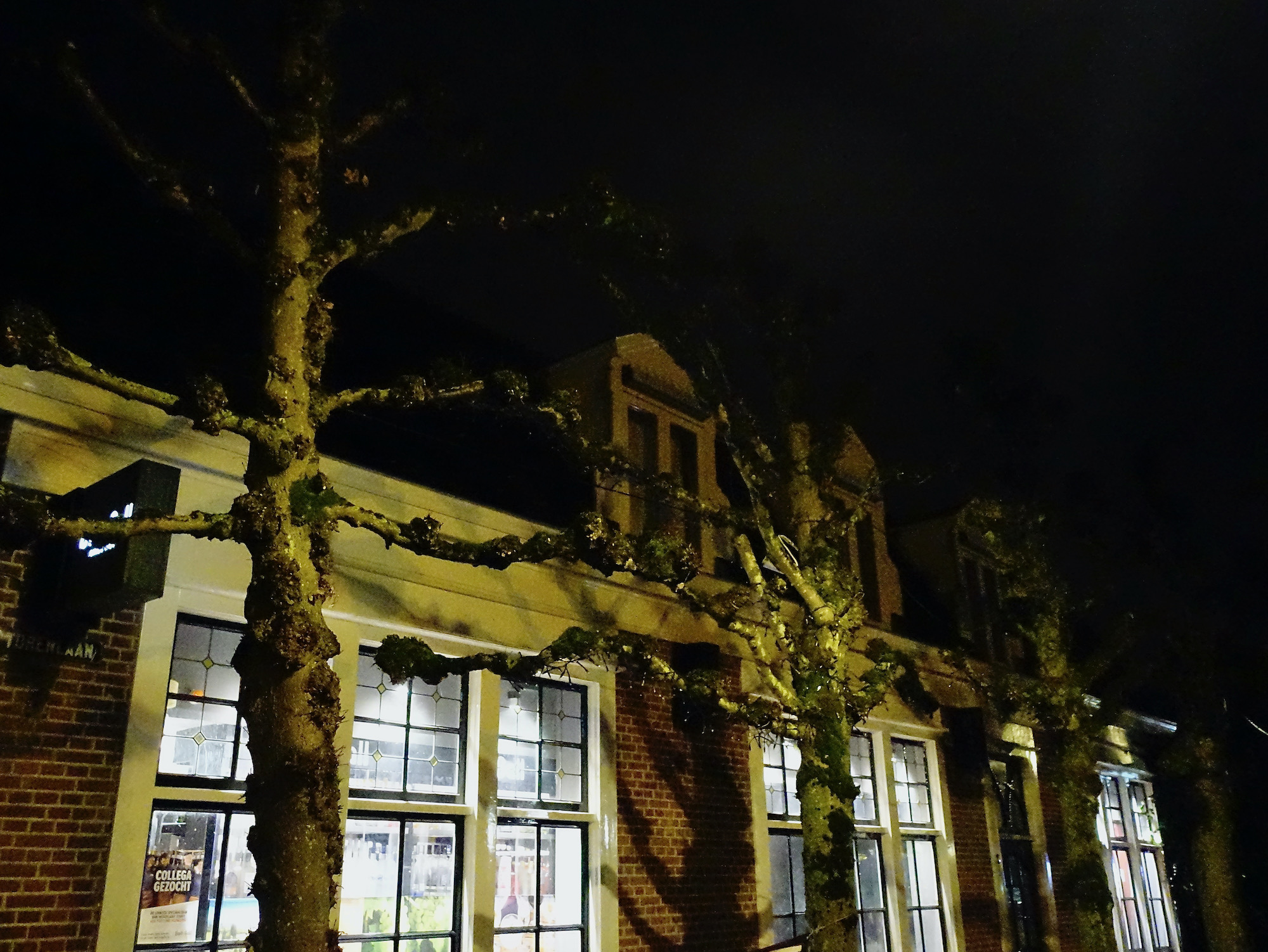 gall lichtjes uit - 1