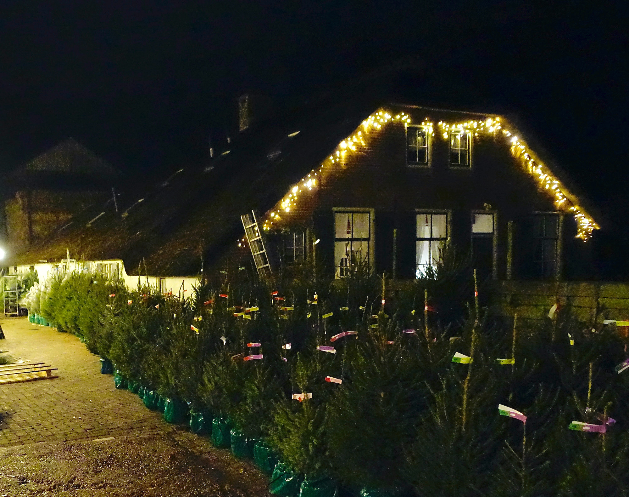 meelmuis av lichtjes 1 - 1